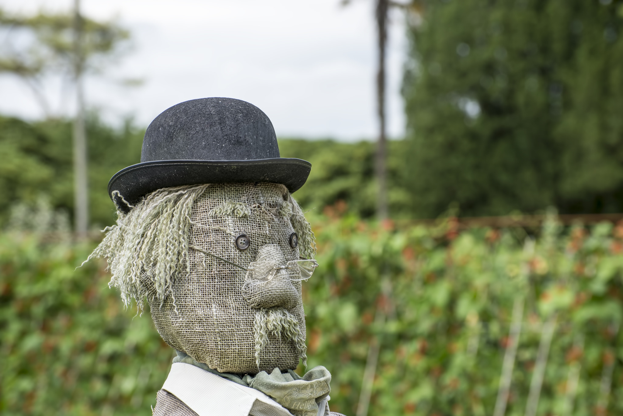 Nikon D600 sample photo. Gardening technology (1) photography