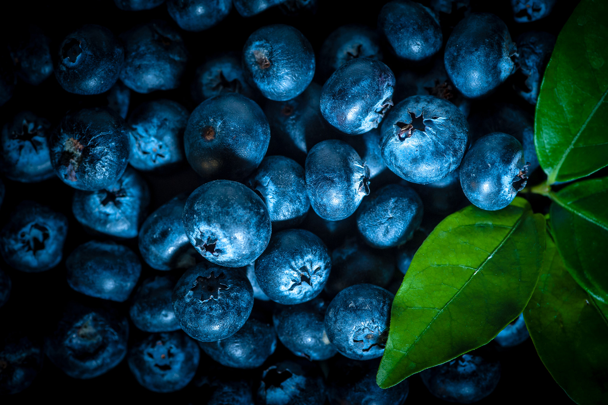 Nikon D700 + Nikon AF-S Micro-Nikkor 105mm F2.8G IF-ED VR sample photo. Blueberries background, freshly blueberries in woo photography