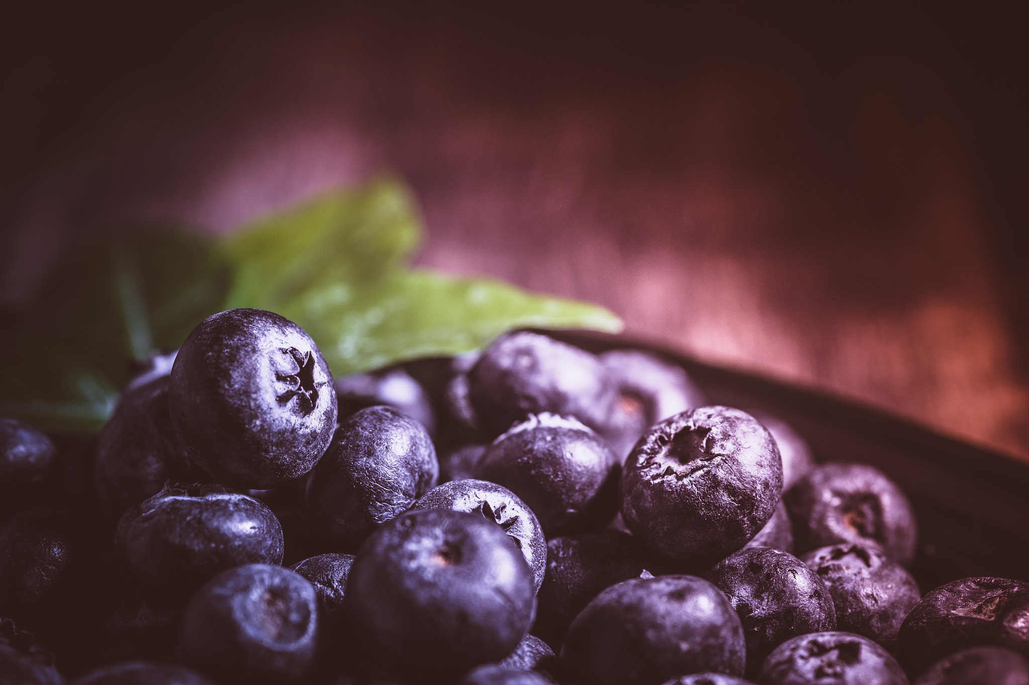 Nikon AF-S Micro-Nikkor 105mm F2.8G IF-ED VR sample photo. Blueberries background, freshly blueberries in woo photography