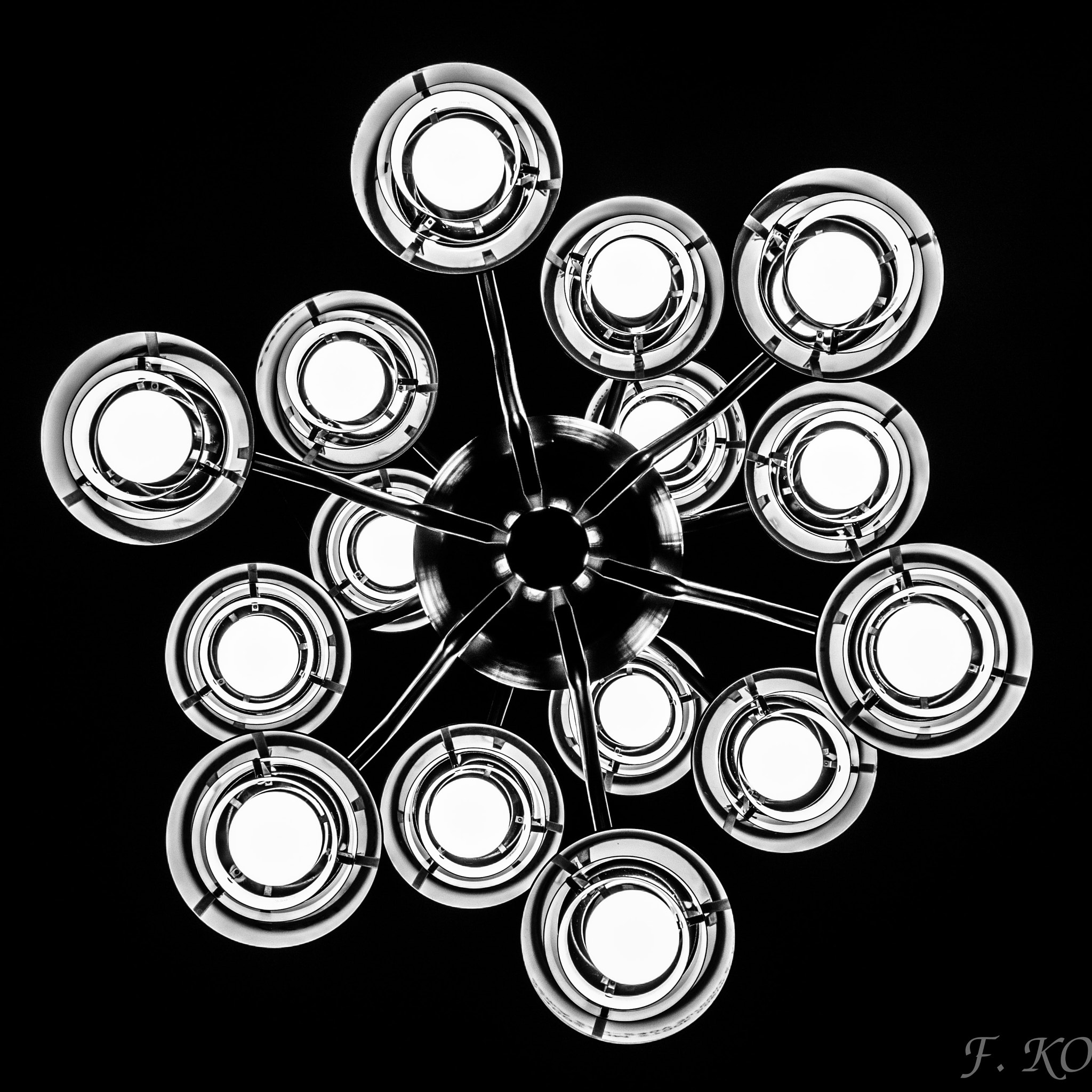 Olympus OM-D E-M5 II sample photo. Hexagon flowers photography