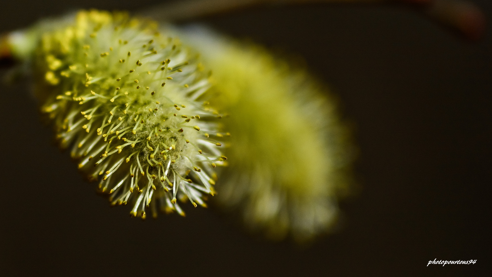 Sigma 70-200mm F2.8 EX DG OS HSM sample photo. Balancoire photography