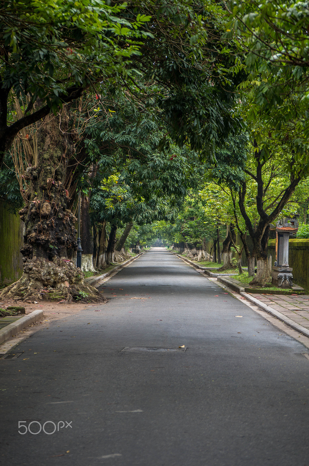 Sony Alpha NEX-5T + Sony Vario-Tessar T* E 16-70mm F4 ZA OSS sample photo. "busy" road photography