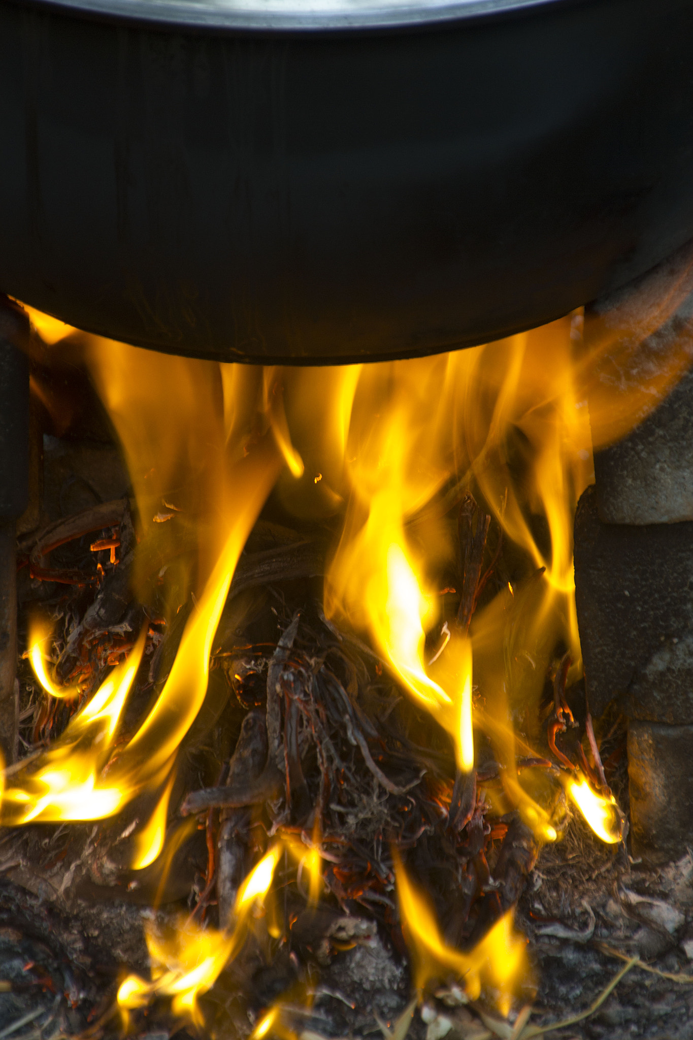 Canon EOS 550D (EOS Rebel T2i / EOS Kiss X4) sample photo. Cooking on fire photography