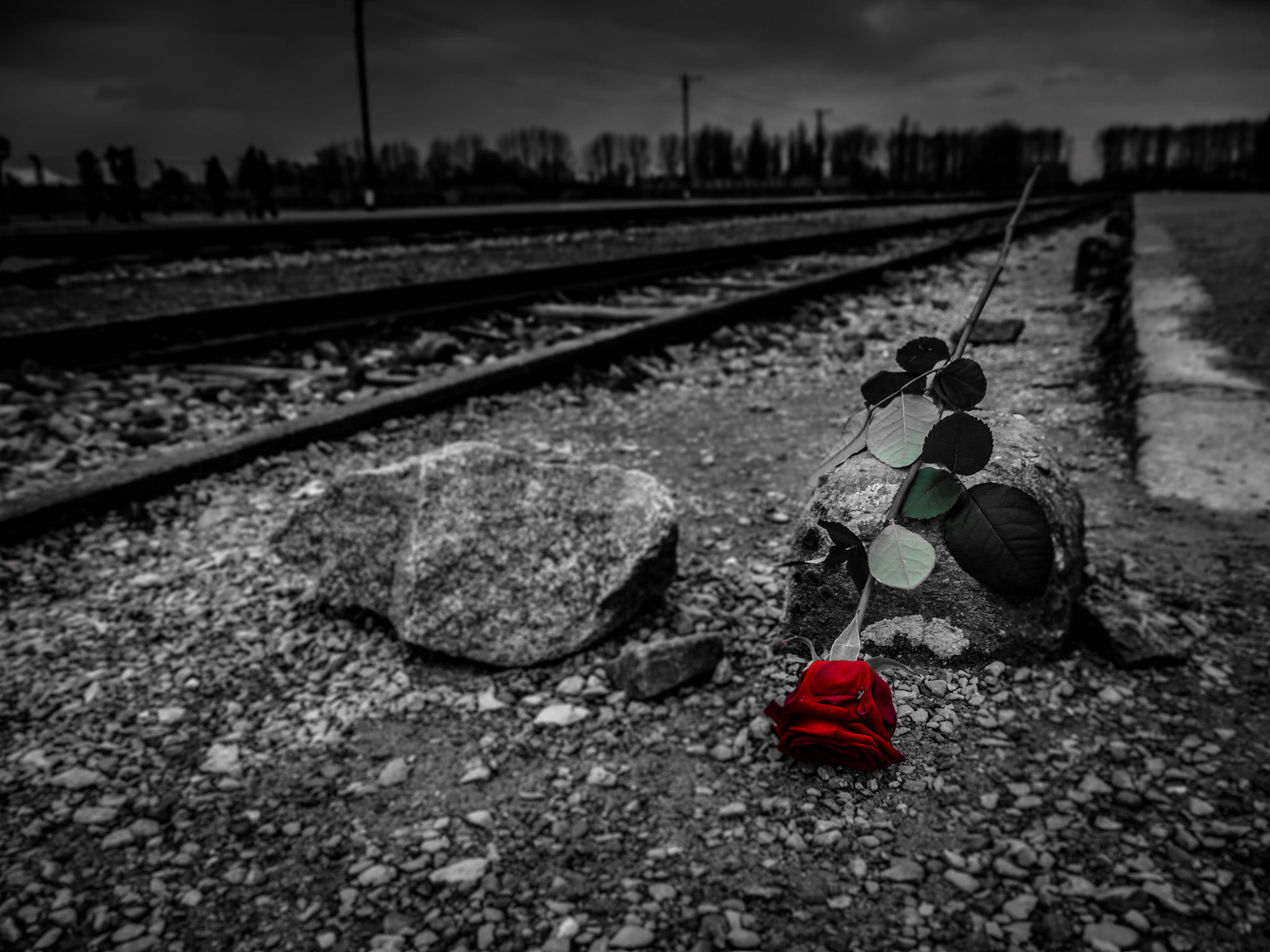 Olympus OM-D E-M10 sample photo. Auschwitz - birkenau photography
