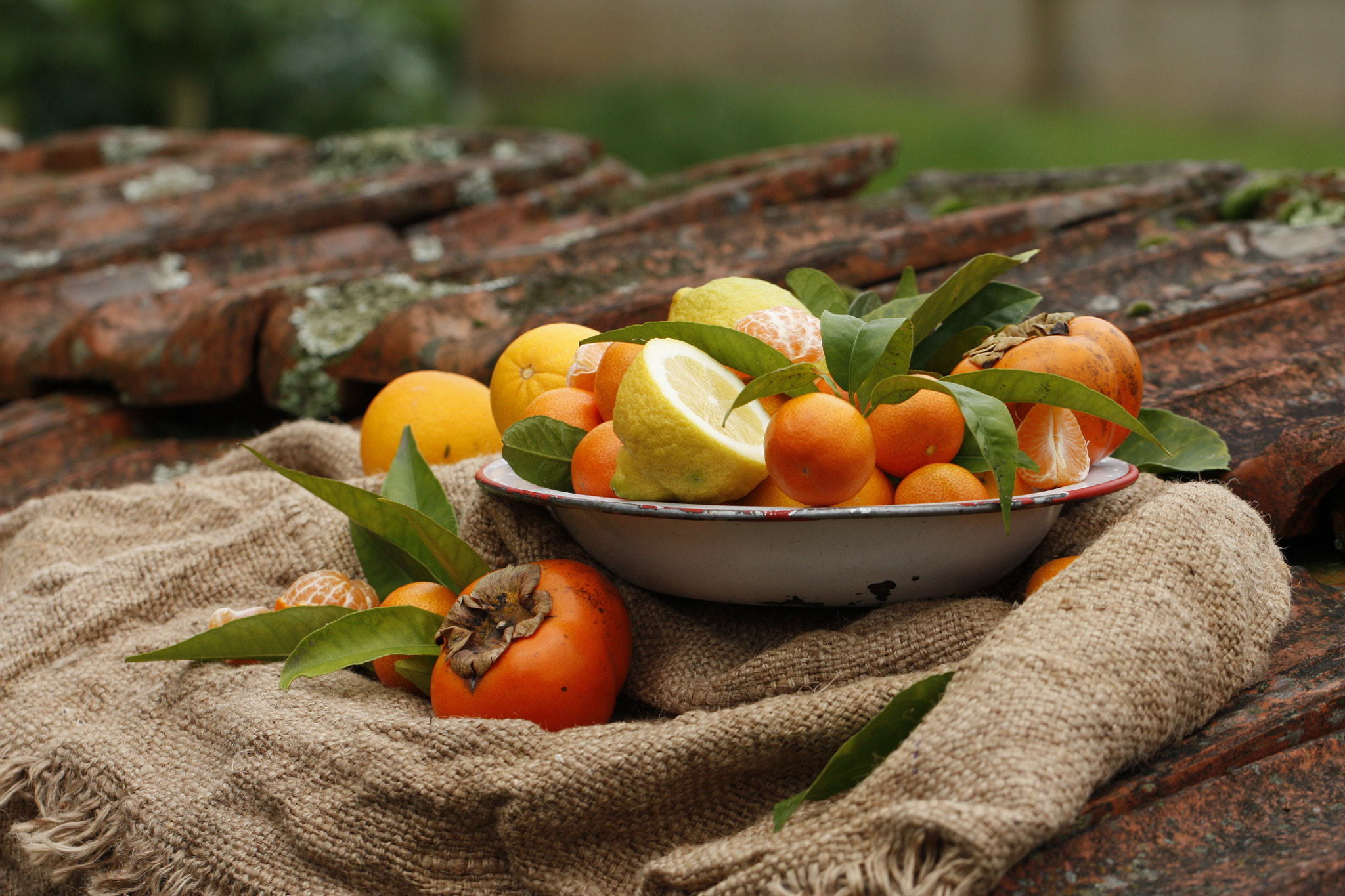 Canon EF 100mm F2.8L Macro IS USM sample photo. Fruits photography
