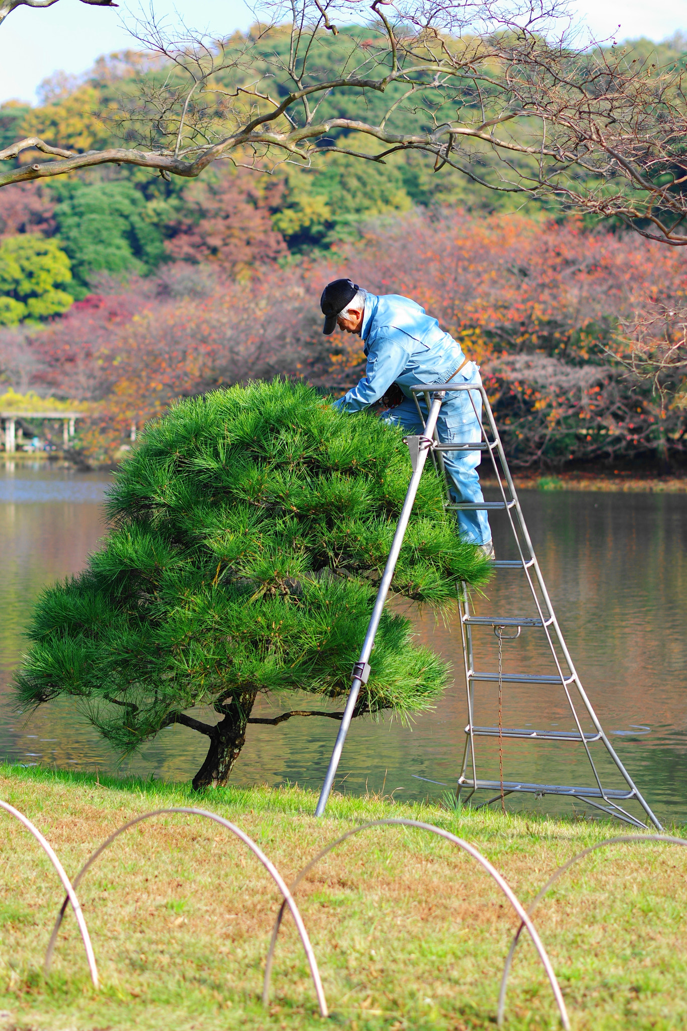 Pentax smc DA* 55mm F1.4 SDM sample photo. Landscaper photography