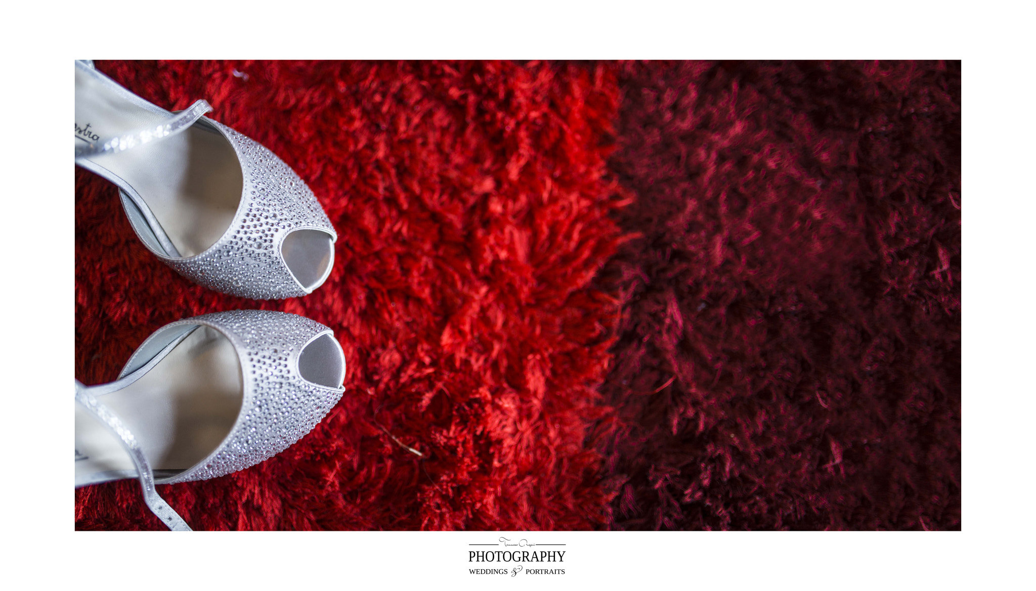 Nikon D610 + Sigma 35mm F1.4 DG HSM Art sample photo. © tommaso regni photographer_tommaso regni photography