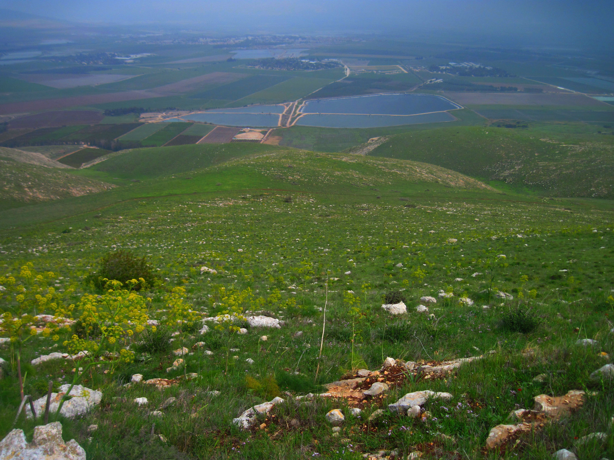 Canon PowerShot A1100 IS sample photo. Golden beth shean valley photography