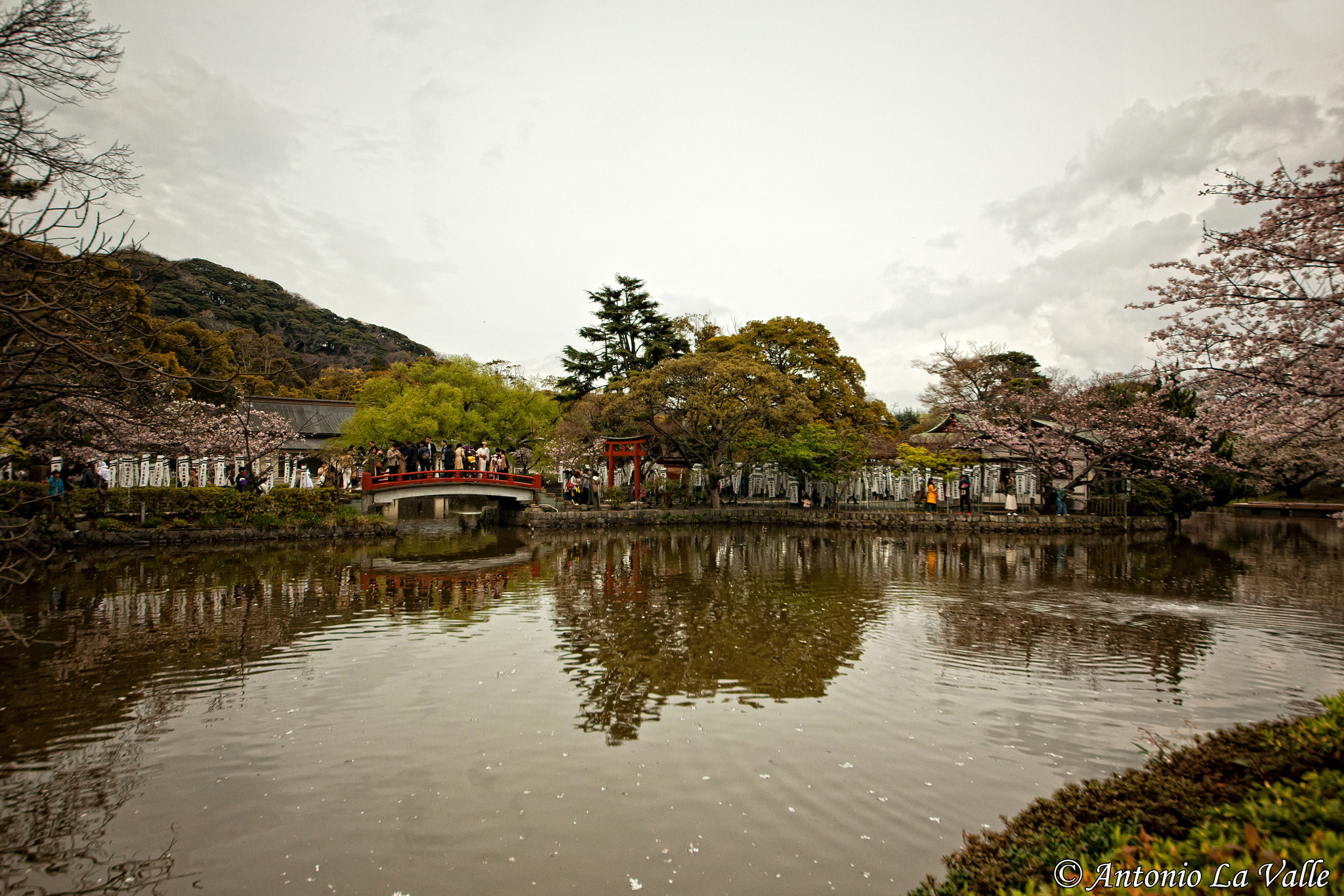 Canon EOS 5D Mark II + Sigma 12-24mm F4.5-5.6 II DG HSM sample photo. Kamakura photography