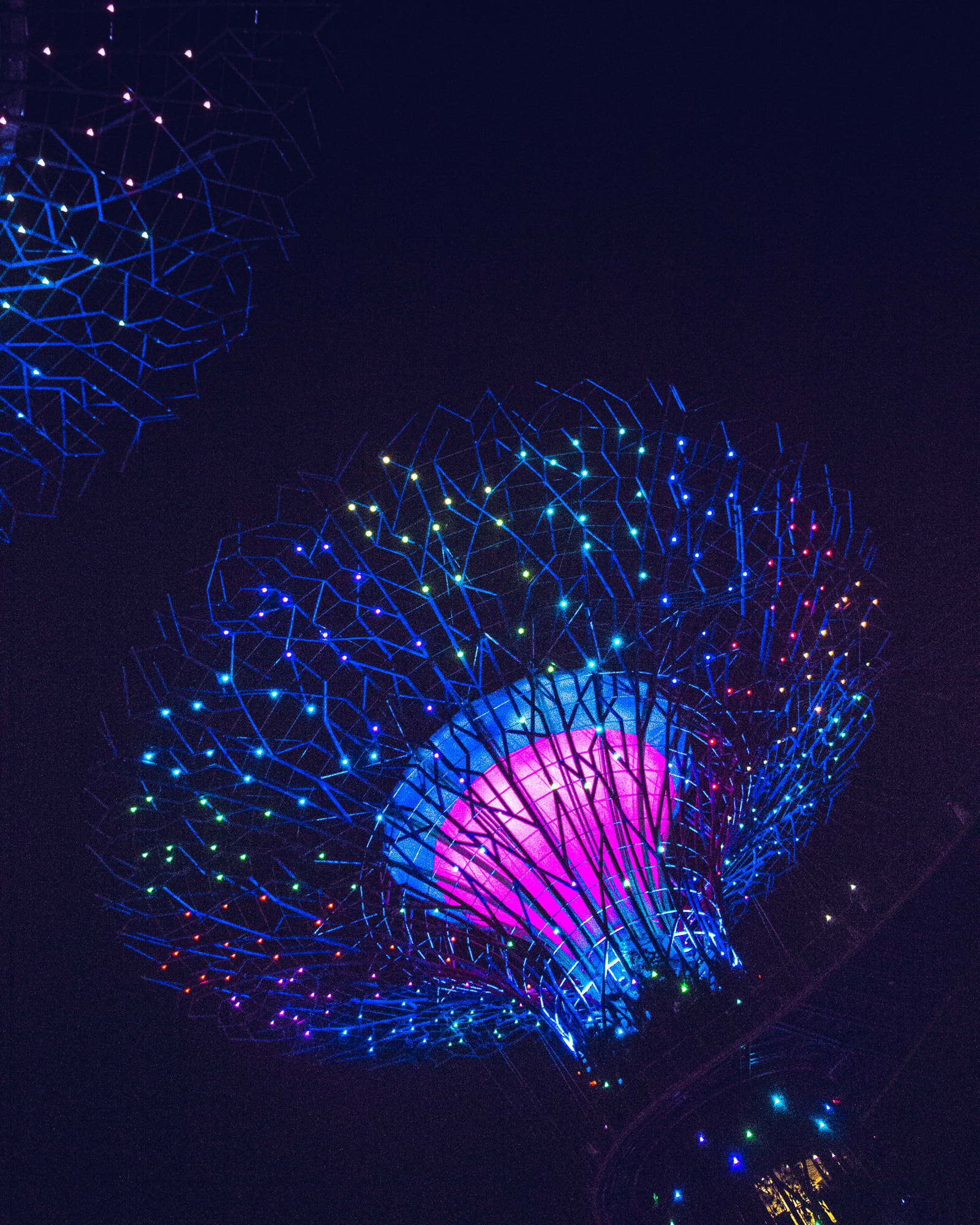 Canon EOS 60D sample photo. What an amazing night photography