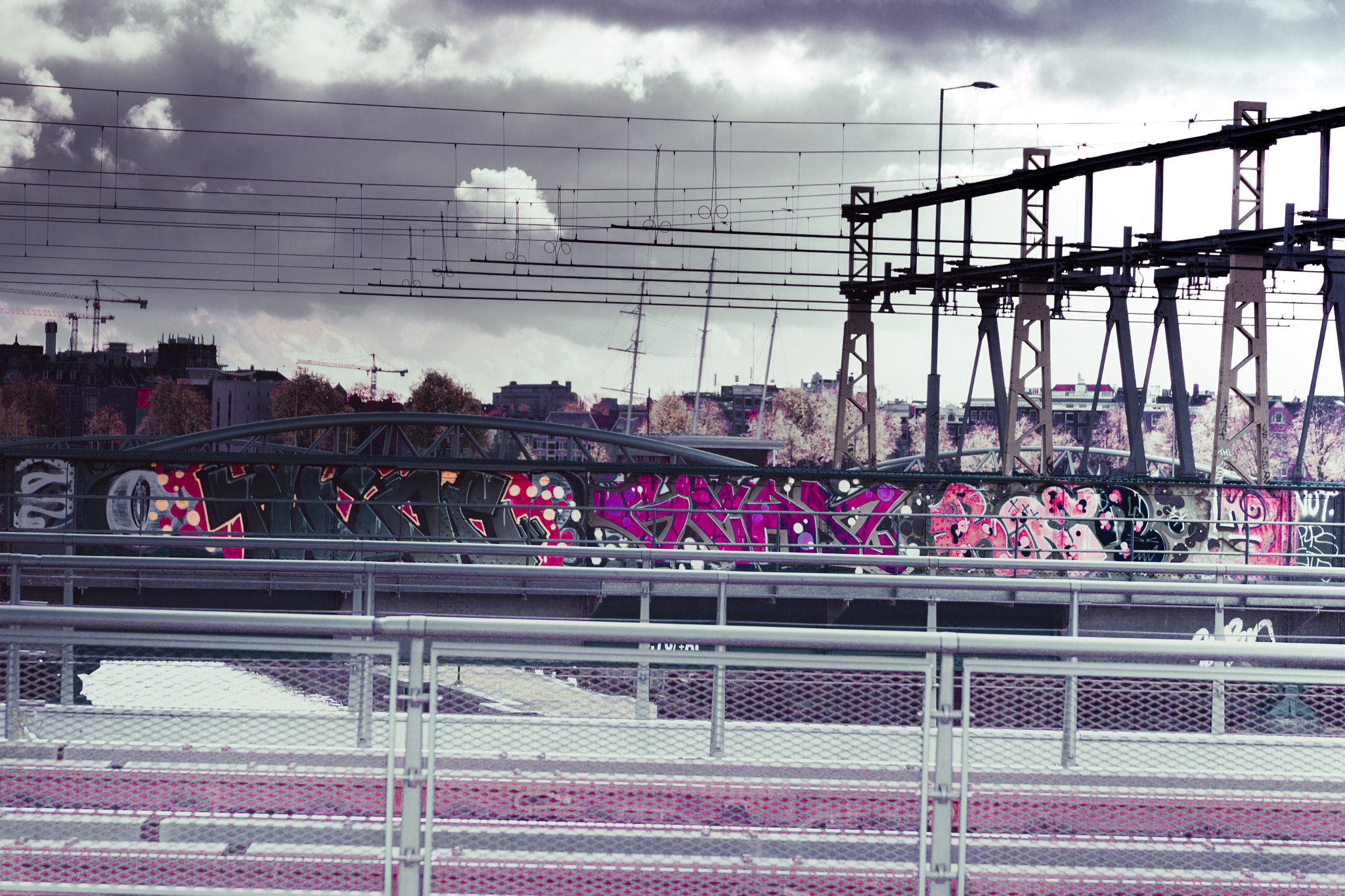 Canon EF 28-135mm F3.5-5.6 IS USM sample photo. The purple line photography