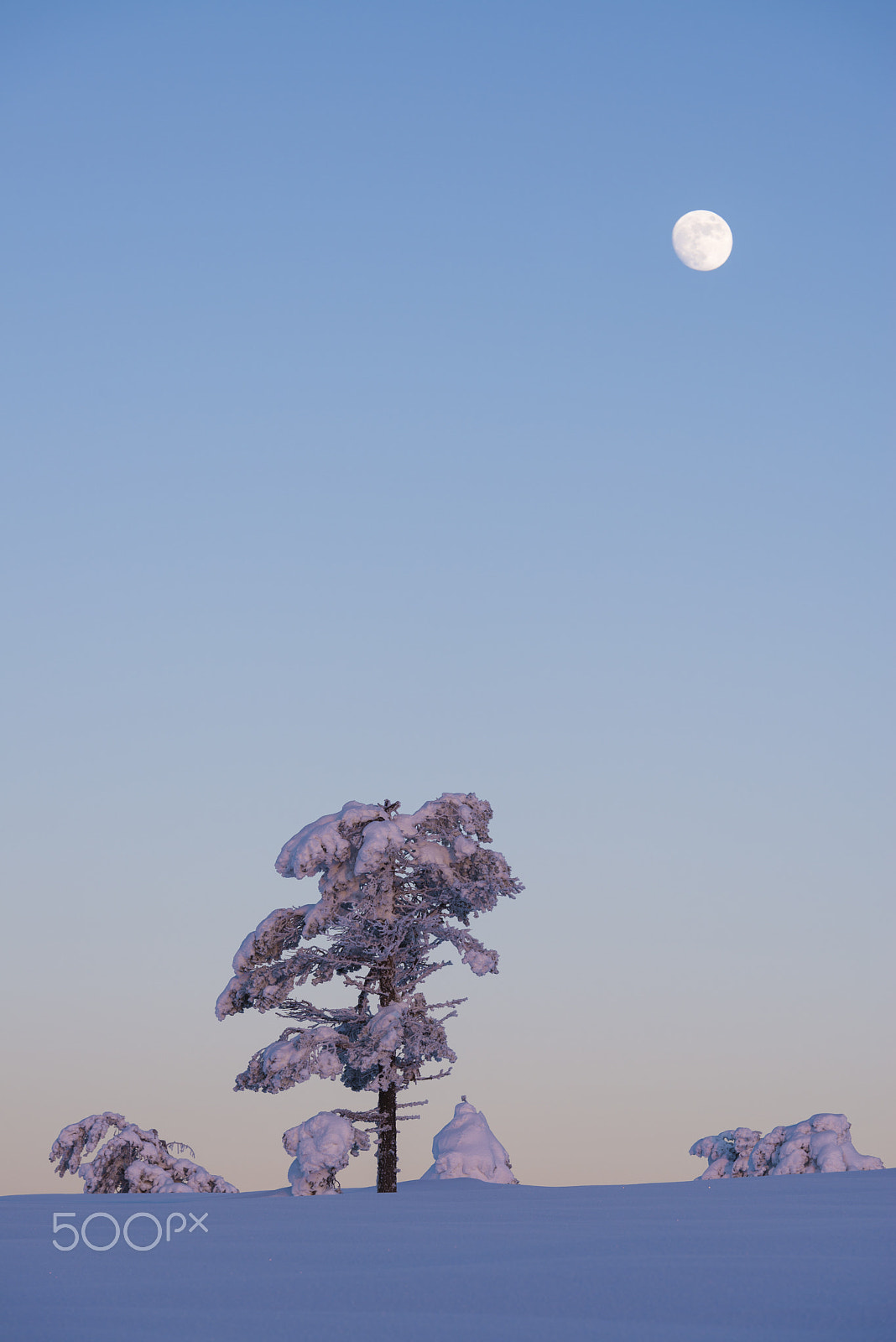 Nikon AF-S Nikkor 70-200mm F2.8G ED VR II sample photo. Frosty, sunset photography