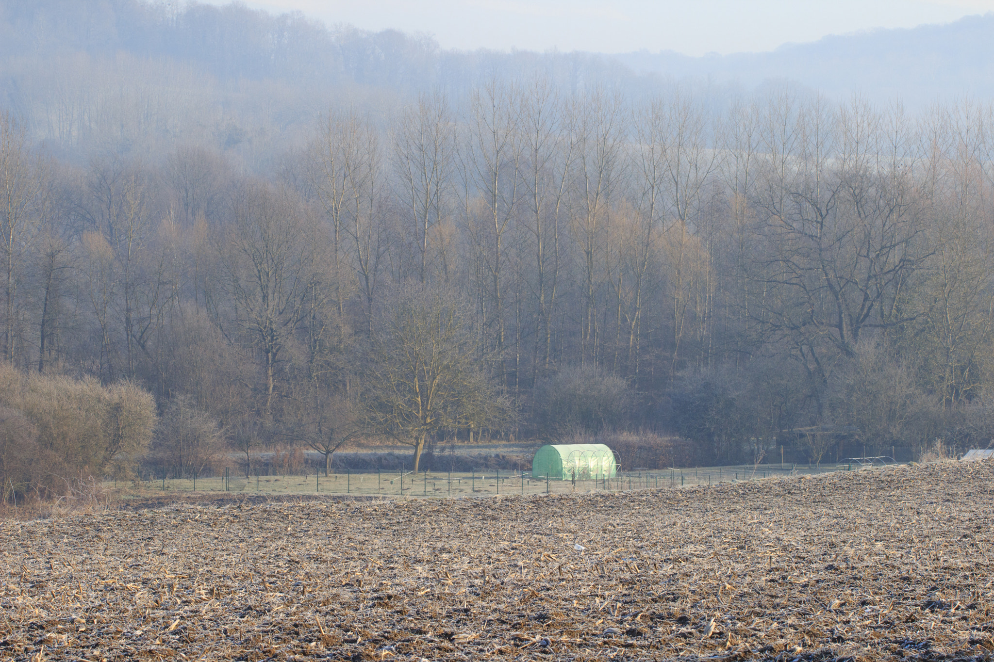 Canon EF 100mm F2.8L Macro IS USM sample photo. Un matin glacial photography