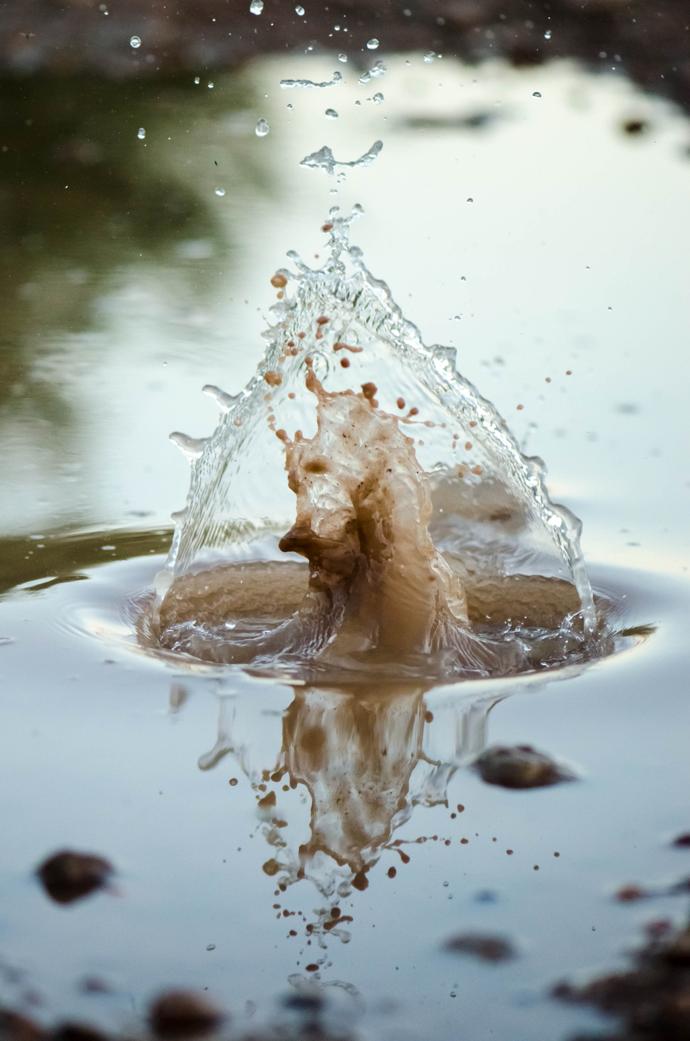 Nikon AF-S Micro-Nikkor 105mm F2.8G IF-ED VR sample photo. As playing in a puddle photography