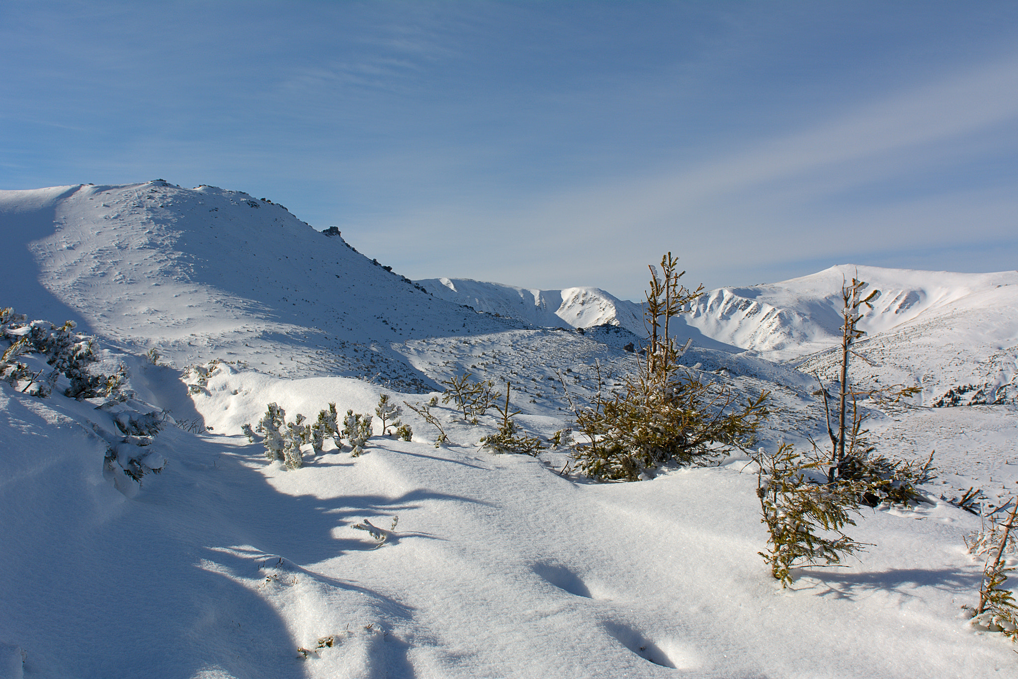 Nikon AF-S Nikkor 24-70mm F2.8G ED sample photo. Snow silence photography