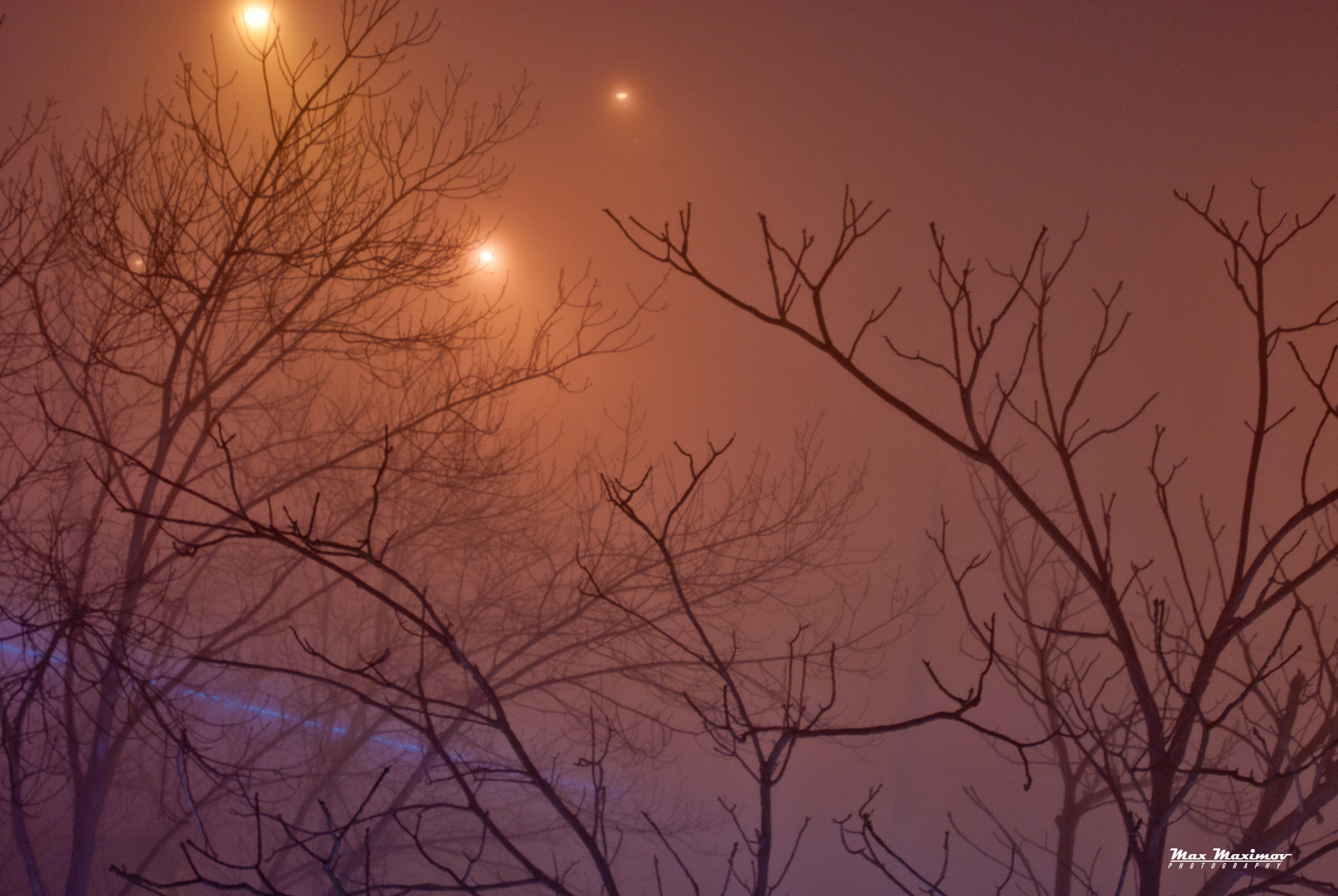 Nikon D200 sample photo. Night fog photography