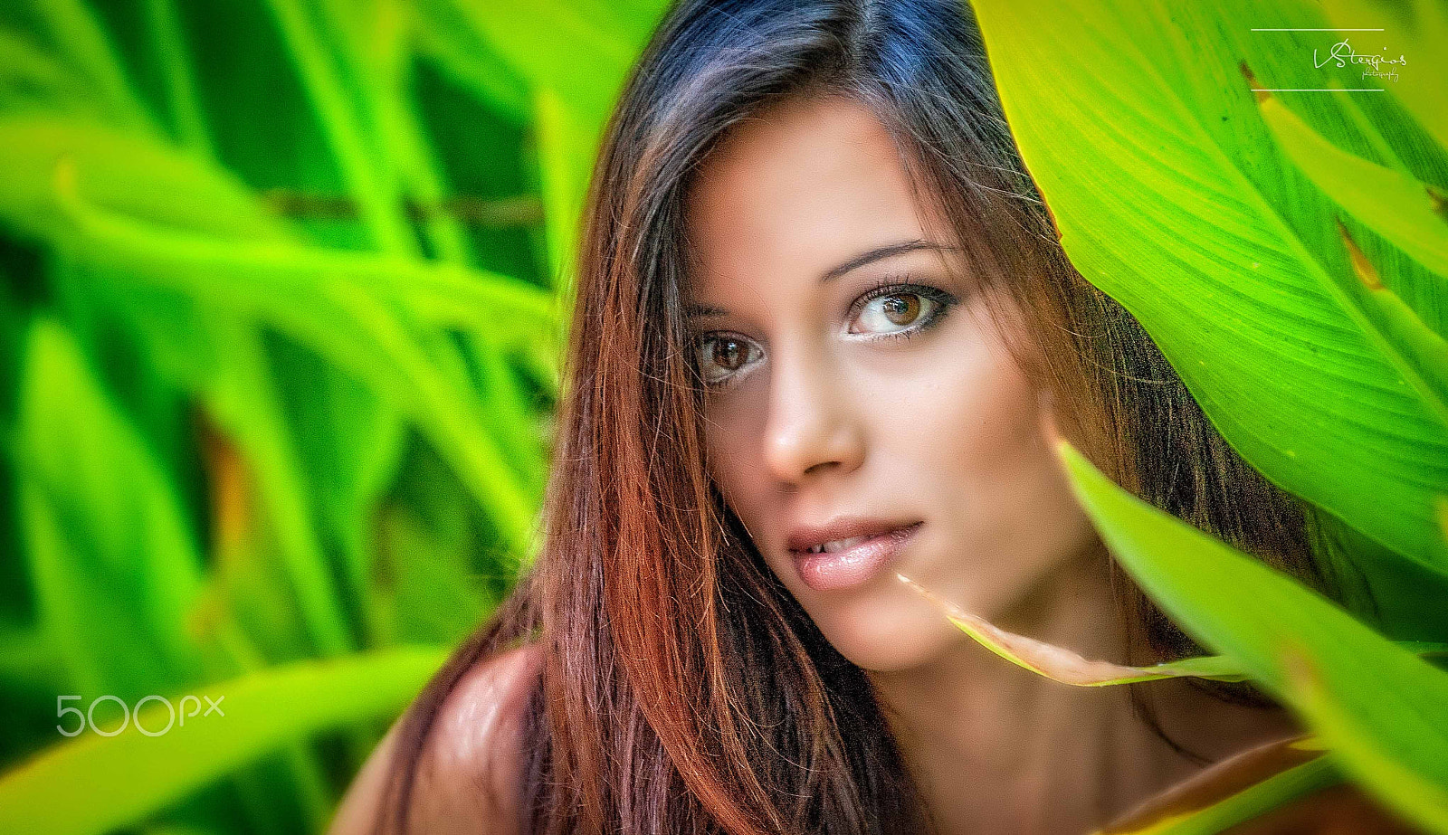 Nikon D3 sample photo. Looking photography