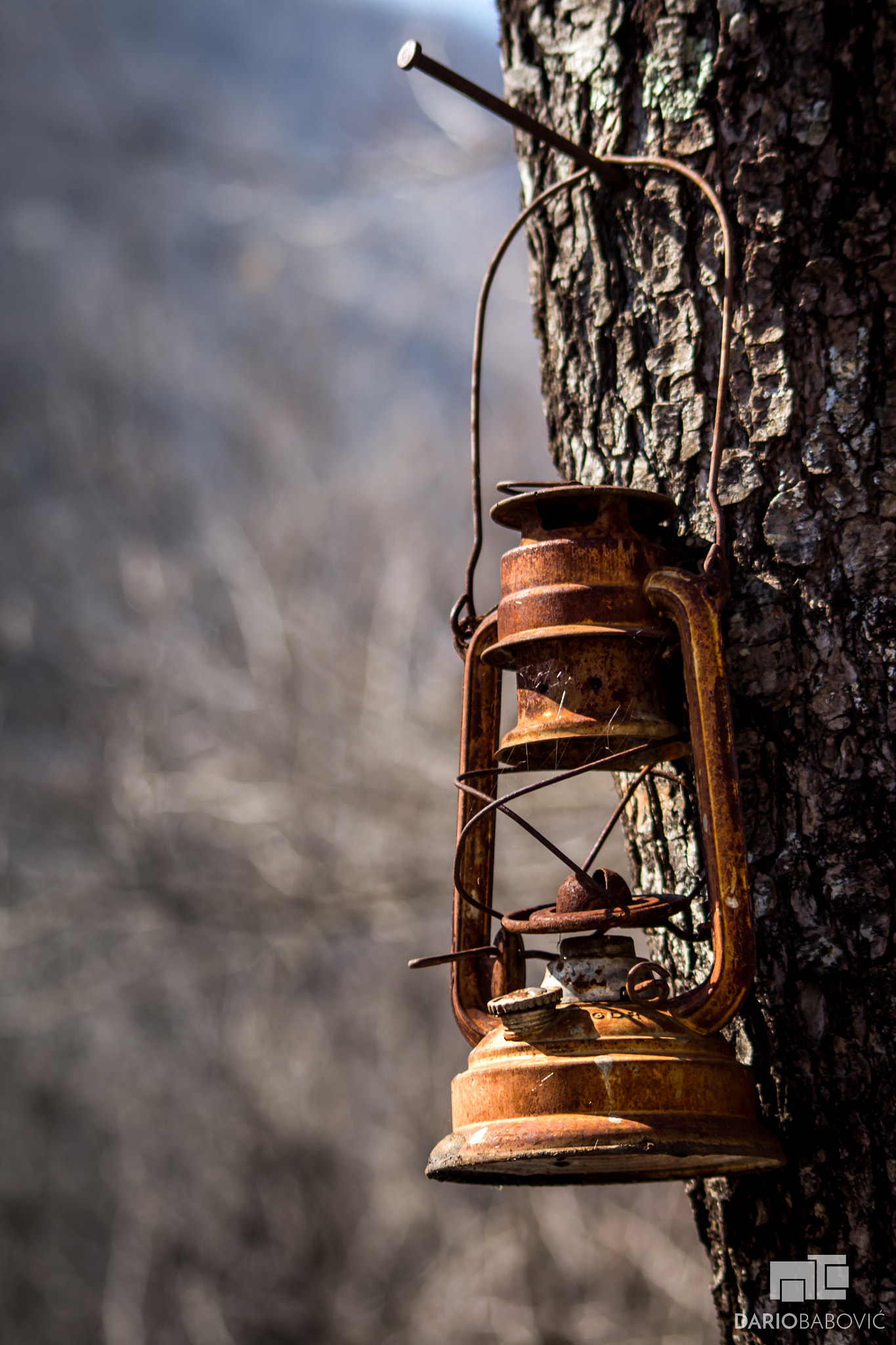 Canon EOS 650D (EOS Rebel T4i / EOS Kiss X6i) sample photo. Old rusty lantern photography