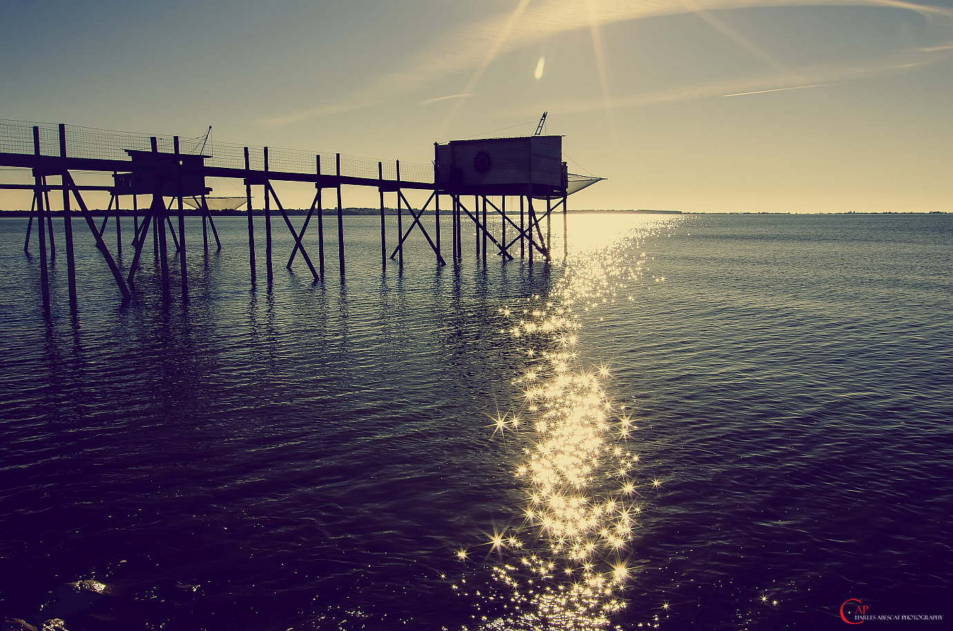 Pentax K-5 sample photo. Starfish photography