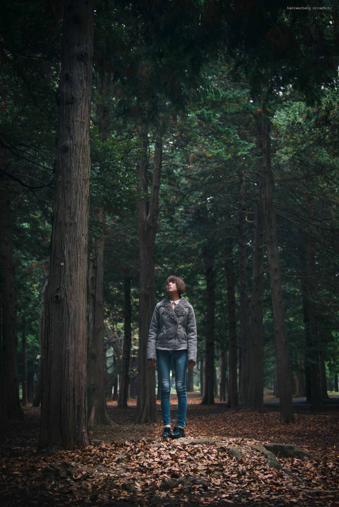 Nikon D800E + Nikon AF Nikkor 35mm F2D sample photo. On the spot photography