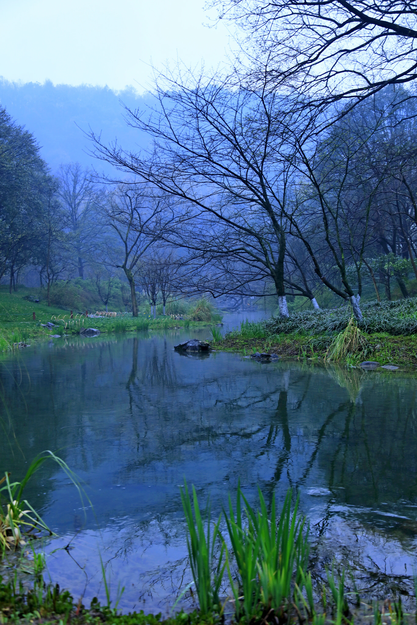 Canon EOS 5DS R sample photo