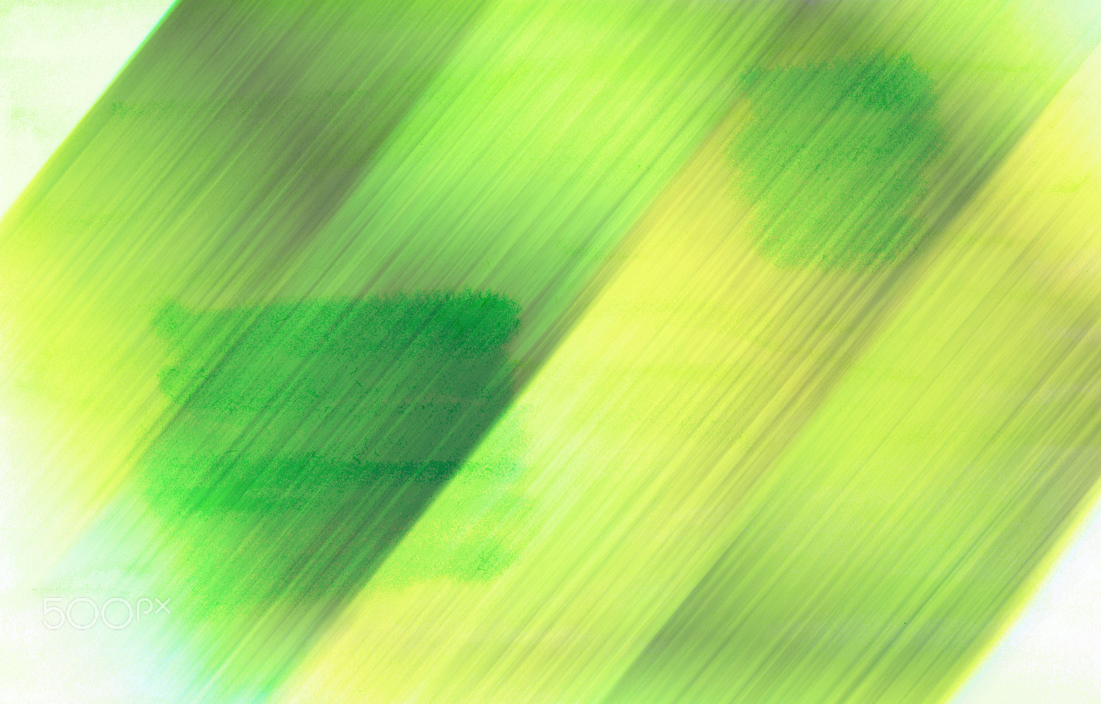 Nikon D800 sample photo. Green shades photography