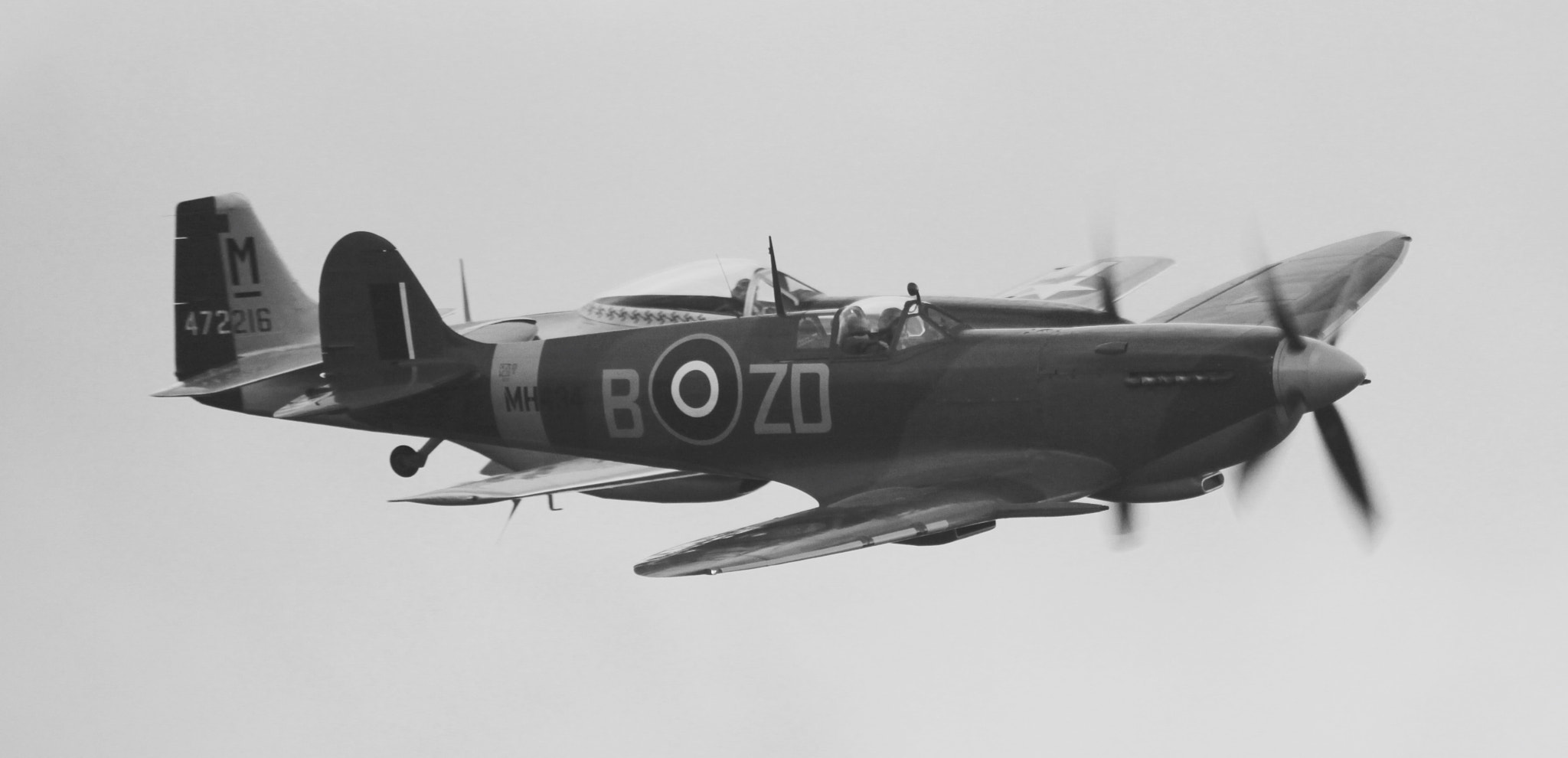 Sigma 150-500mm F5-6.3 DG OS HSM sample photo. Wingman photography