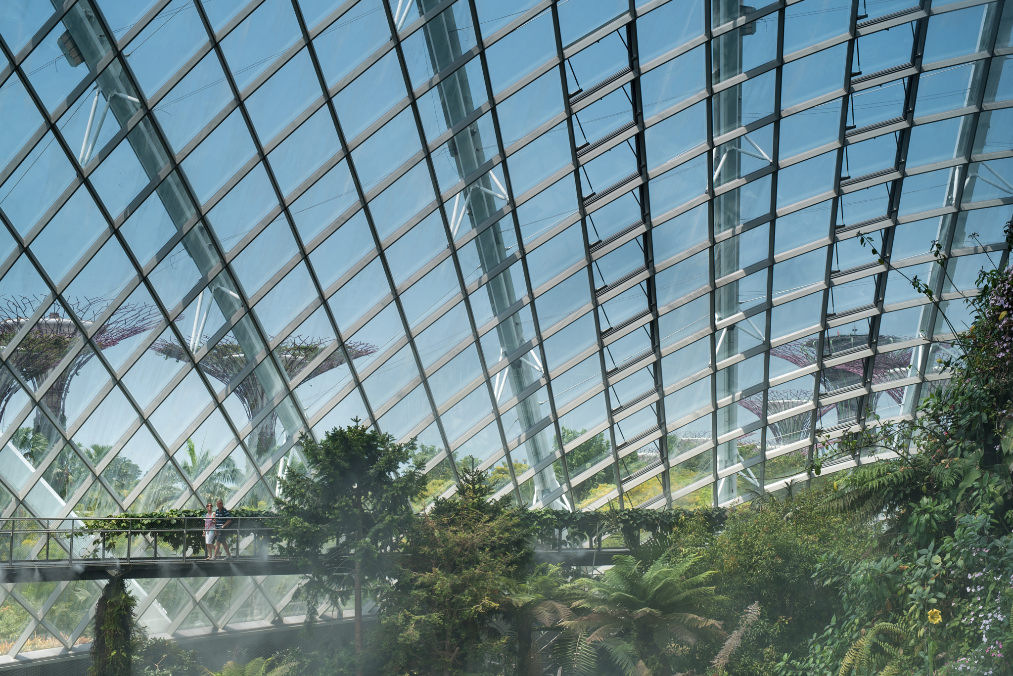 Sigma 50mm F1.4 DG HSM Art sample photo. Greenhouse photography