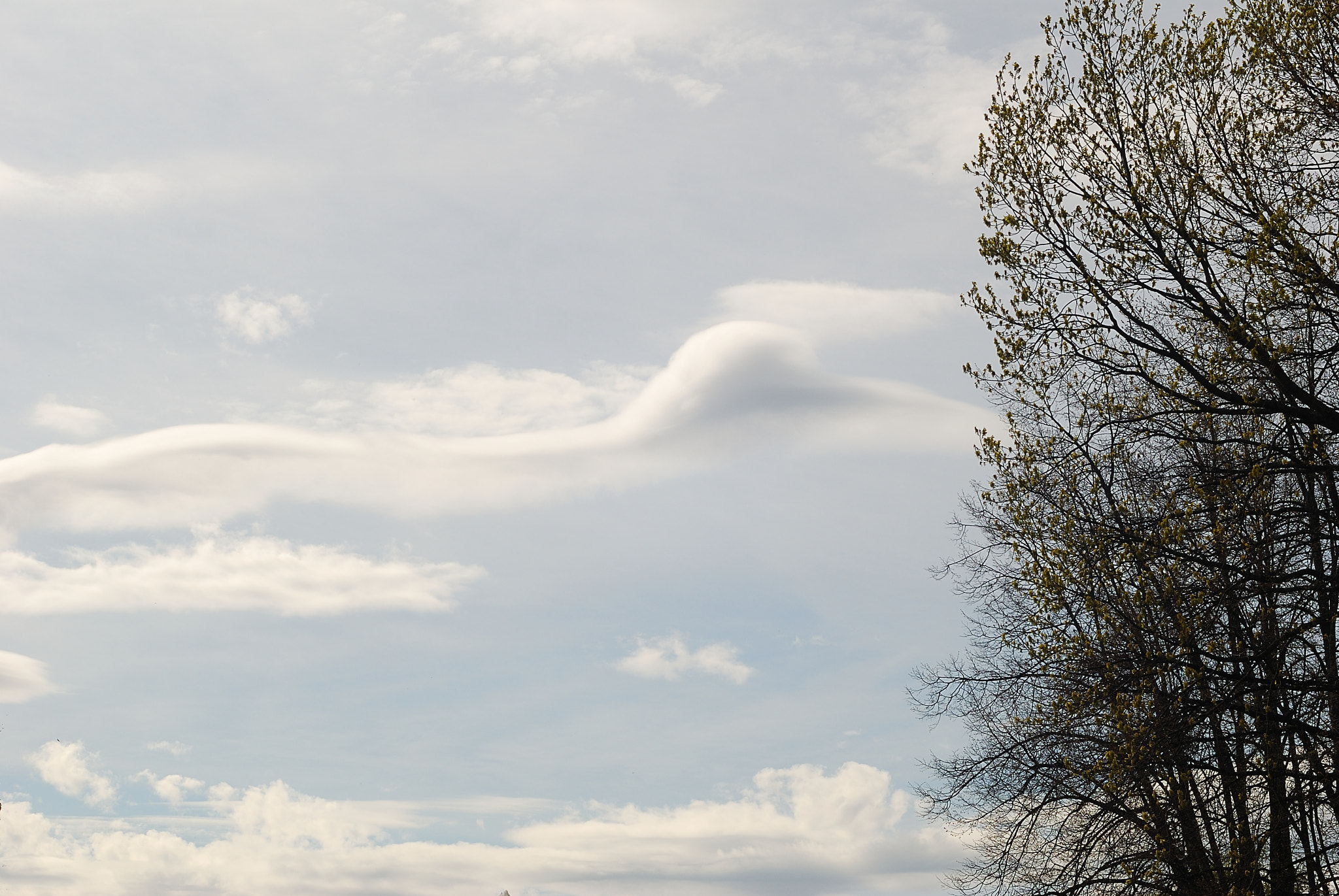 Nikon D80 + Nikon AF Nikkor 50mm F1.4D sample photo. Sky citizen photography
