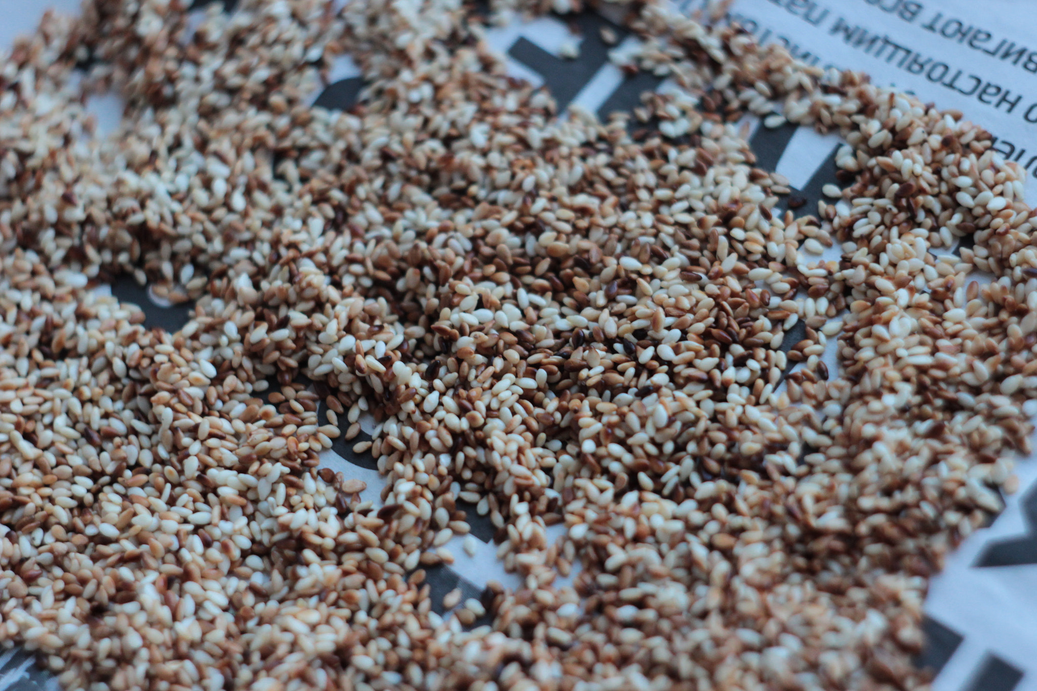 Canon EF 35-80mm f/4-5.6 sample photo. Sesame seeds photography