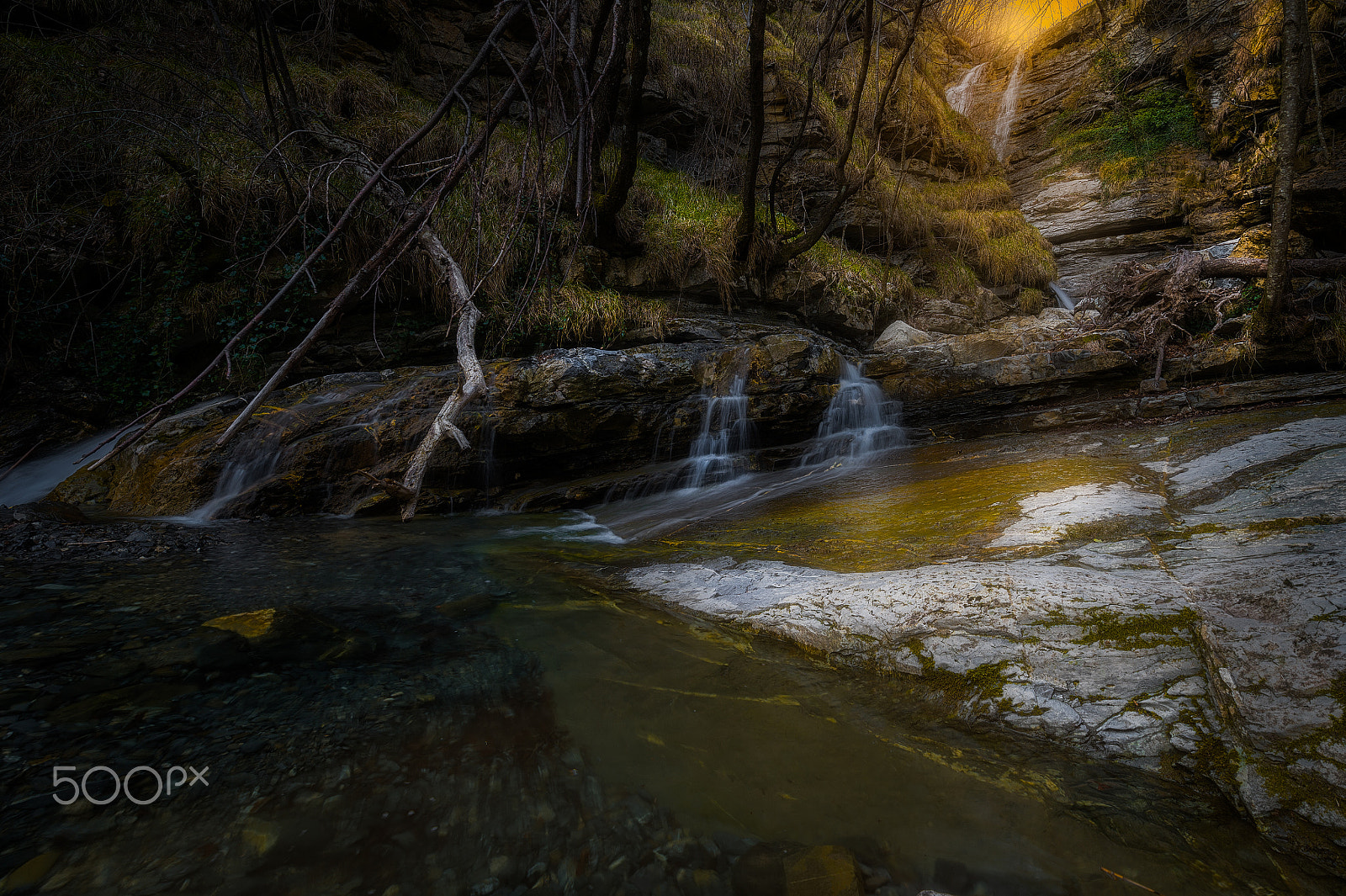 Nikon D4 sample photo. Hidden worlds... photography