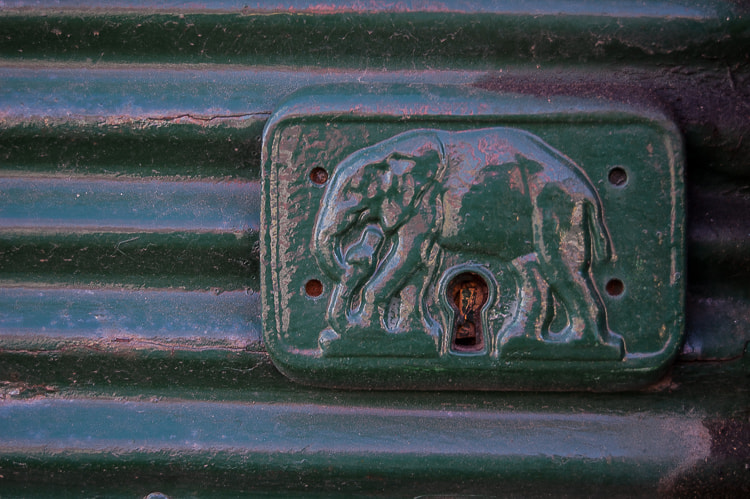 Nikon D70 sample photo. Green elephant photography