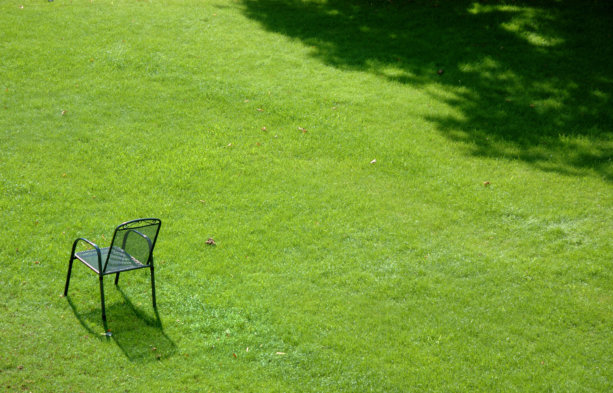 Nikon D70 sample photo. Chair in the green lawn photography