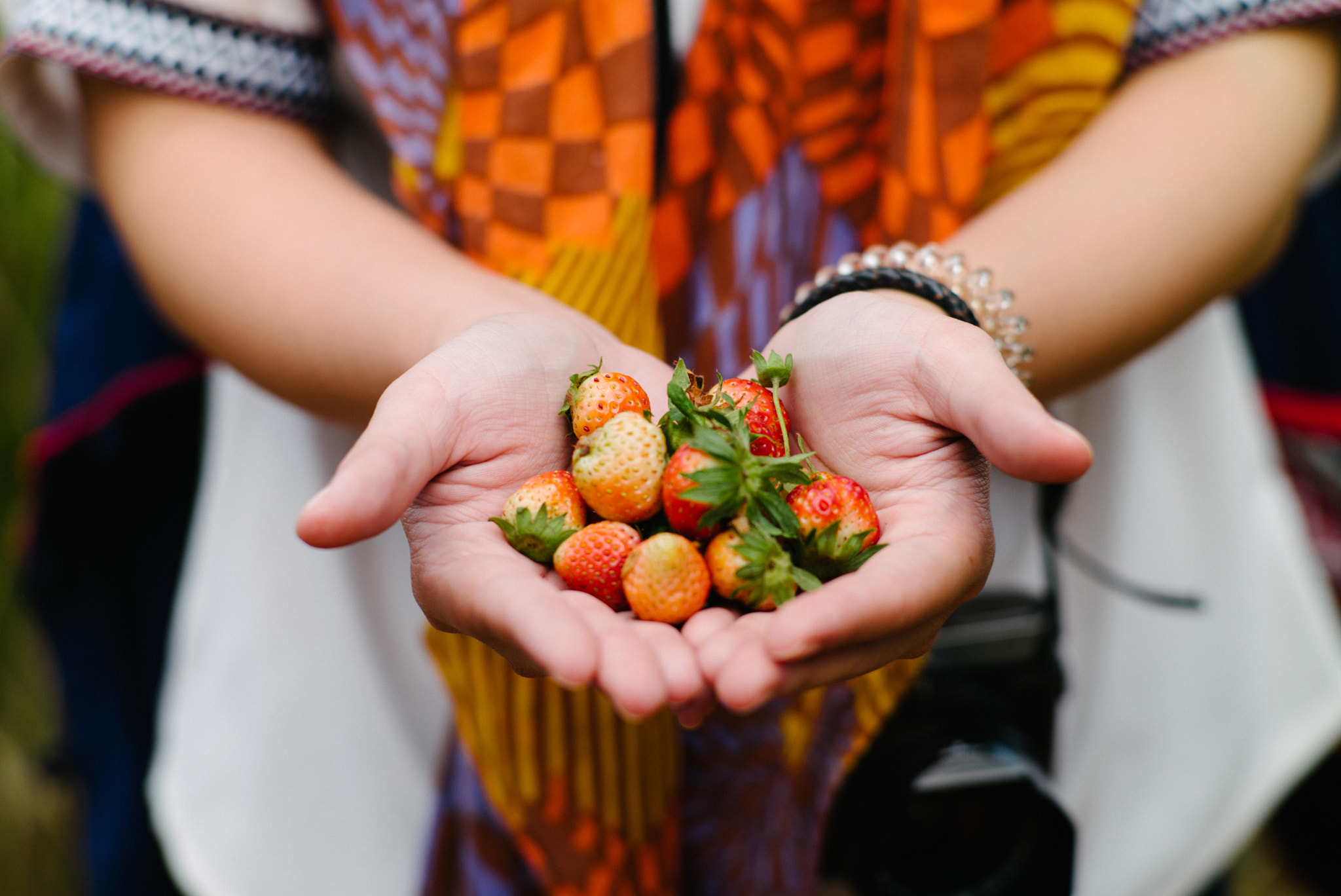 Elmarit-M 1:2.8/28 Leitz sample photo. Handful of strawberry.jpg photography