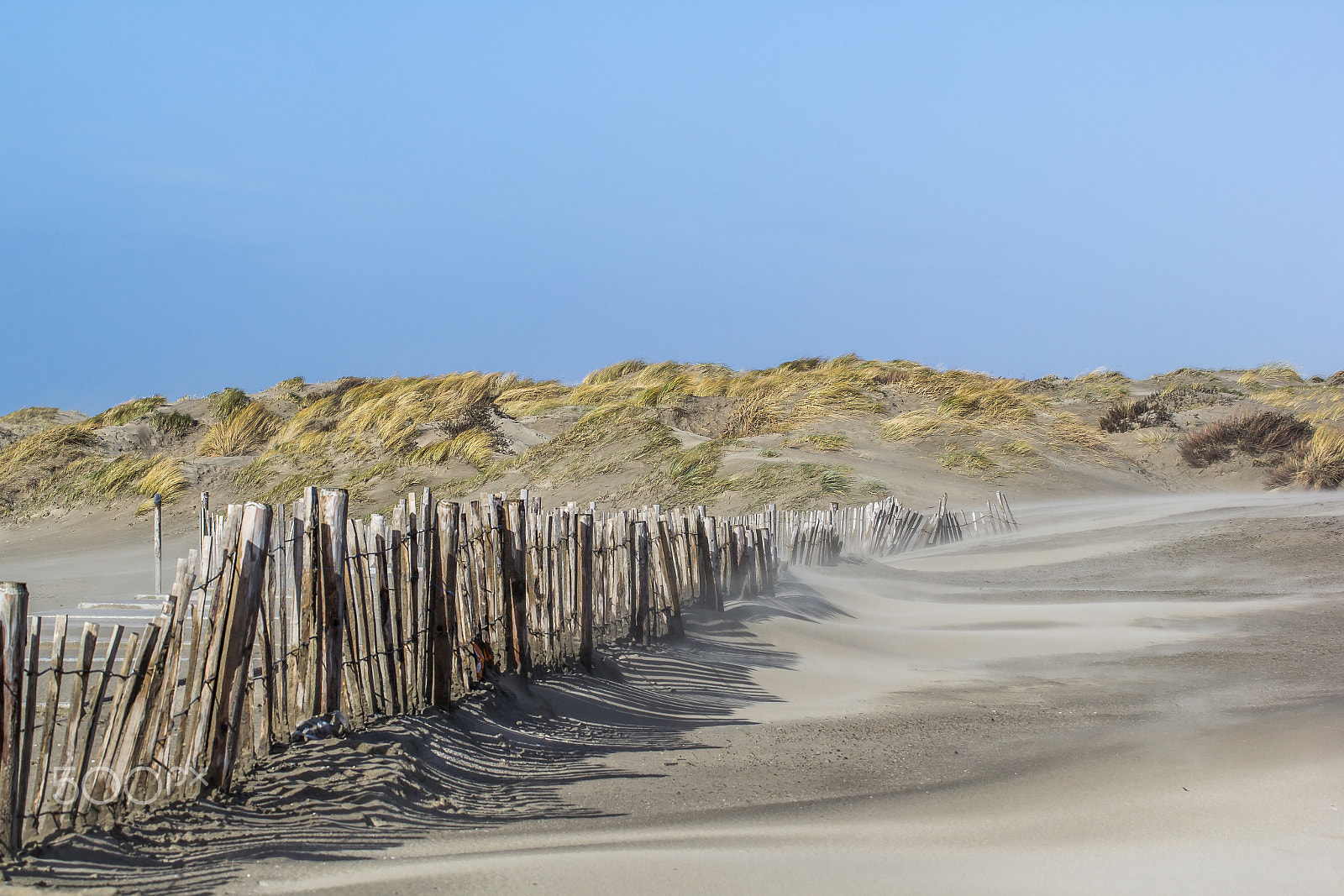Canon EOS 60D sample photo. Shifting sands photography