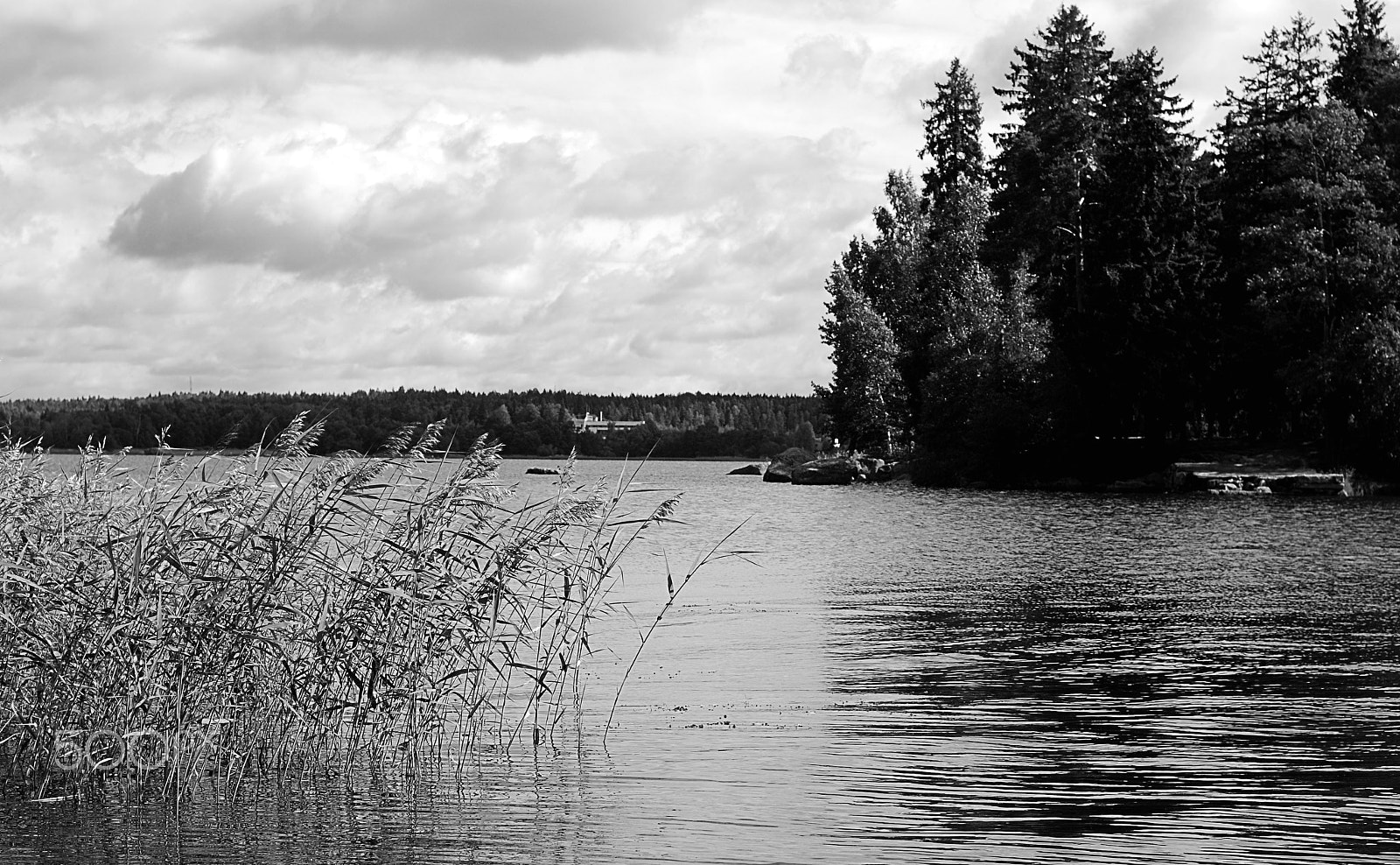 Nikon D80 + Nikon AF Nikkor 50mm F1.4D sample photo. Quiet lake photography