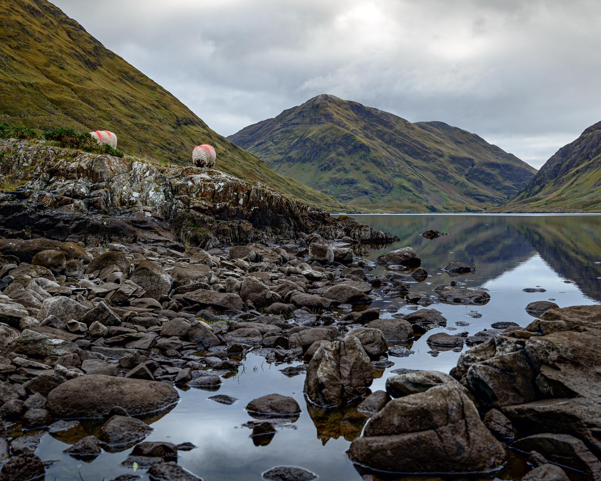 Nikon AF-S Nikkor 18-35mm F3.5-4.5G ED sample photo. Doo lough - county mayo photography