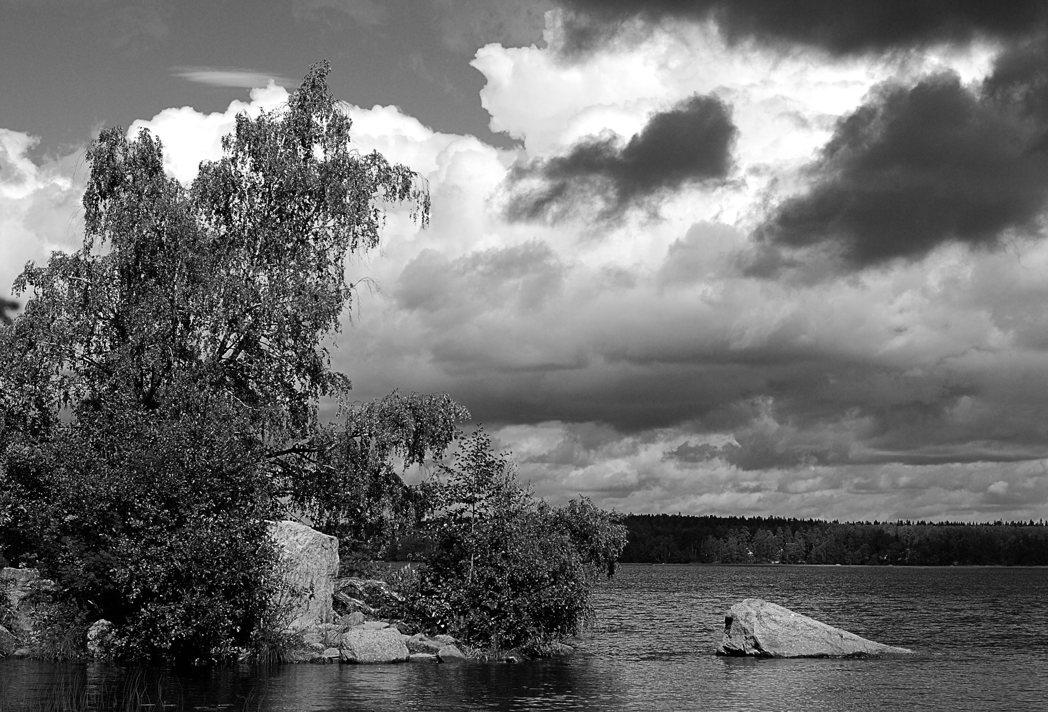 Nikon D80 sample photo. Tree, stones and sky photography