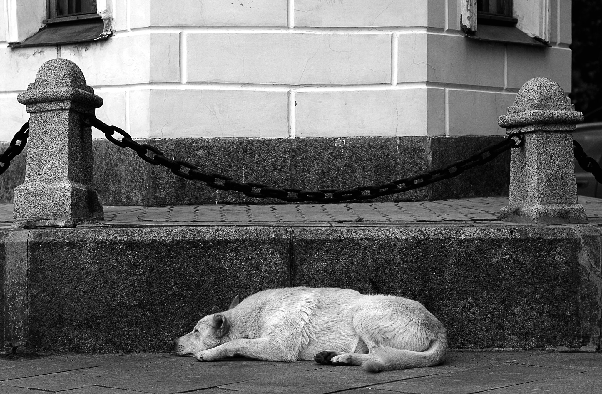 Nikon D80 + Nikon AF Nikkor 50mm F1.4D sample photo. On duty photography