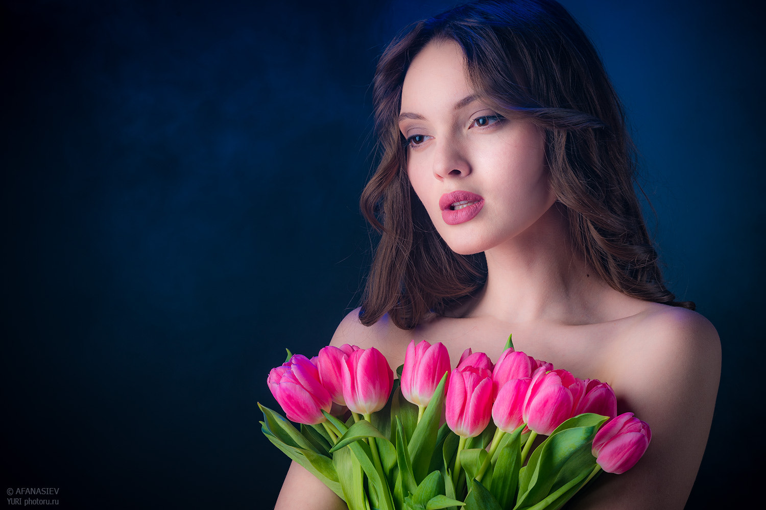 Sony FE 85mm F1.4 GM sample photo. Tulipia_2017 photography
