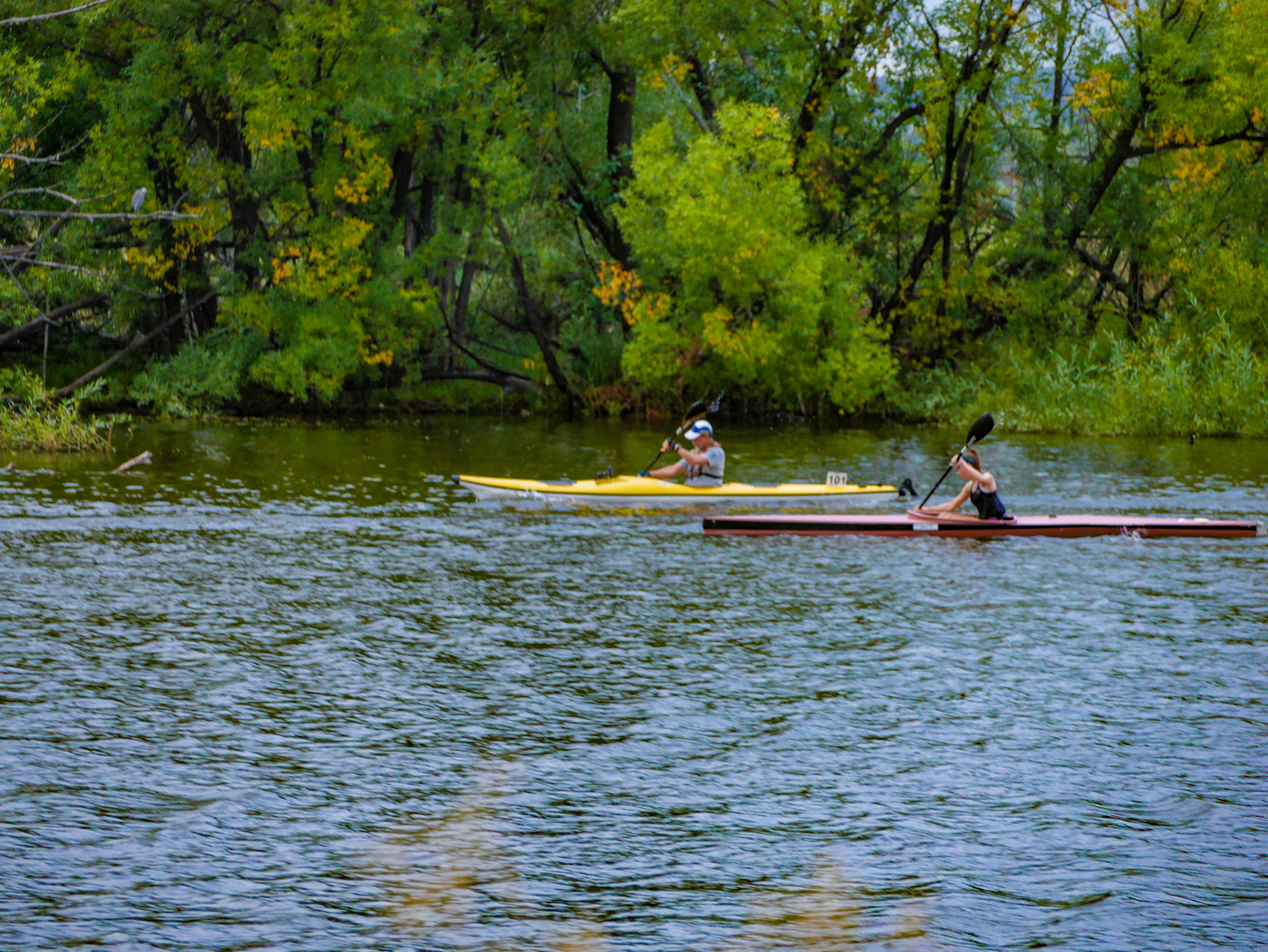 Panasonic DMC-GM1S sample photo. Rowers photography