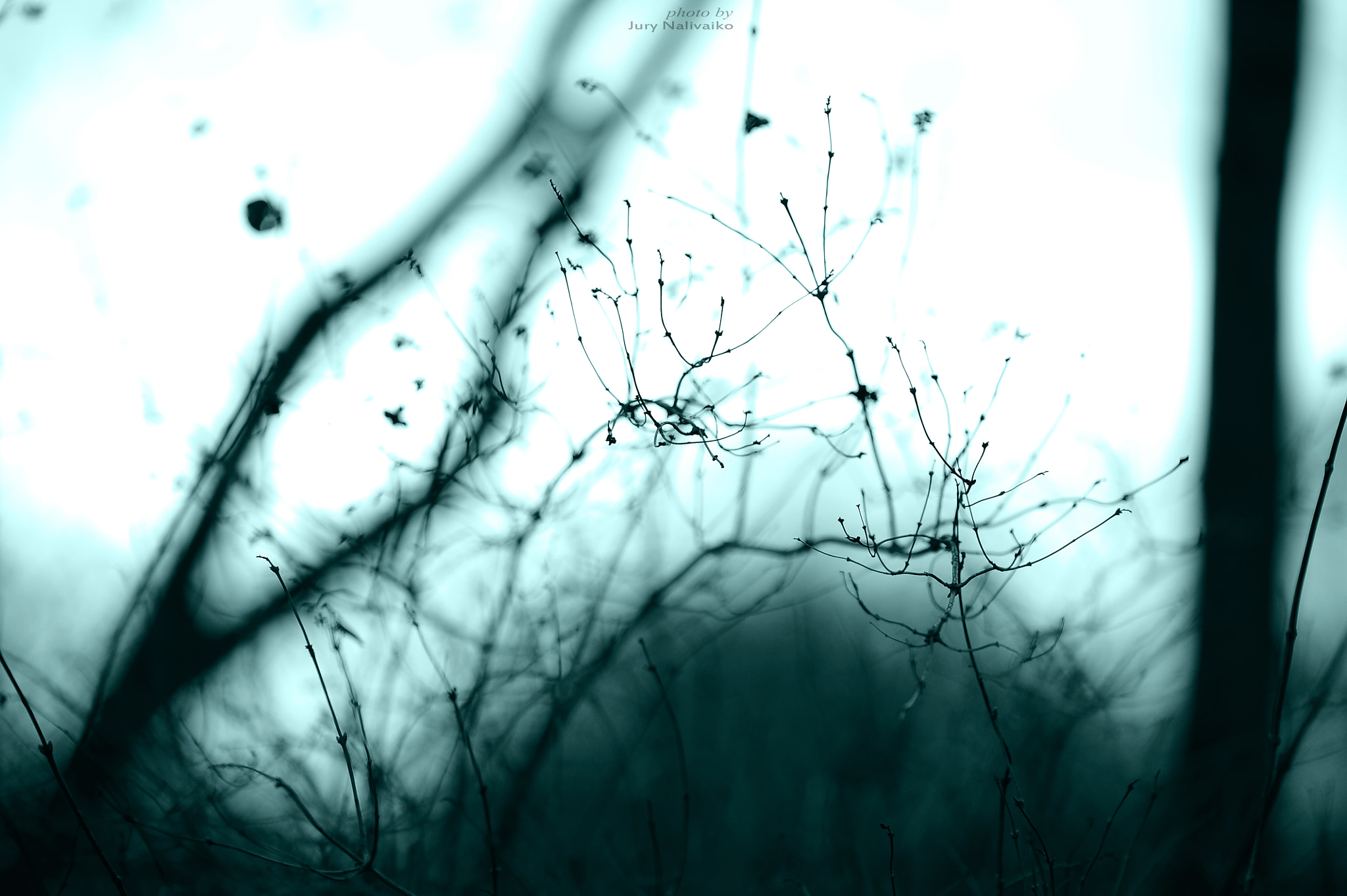 Nikon AF-S Nikkor 70-200mm F2.8G ED VR II sample photo. Echoes of the silhouettes photography
