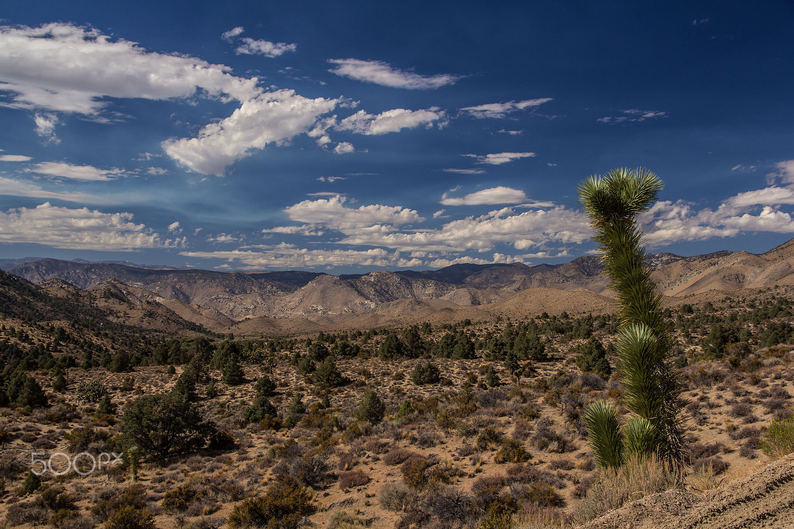 Canon EOS 60D sample photo. Sierra nevada photography