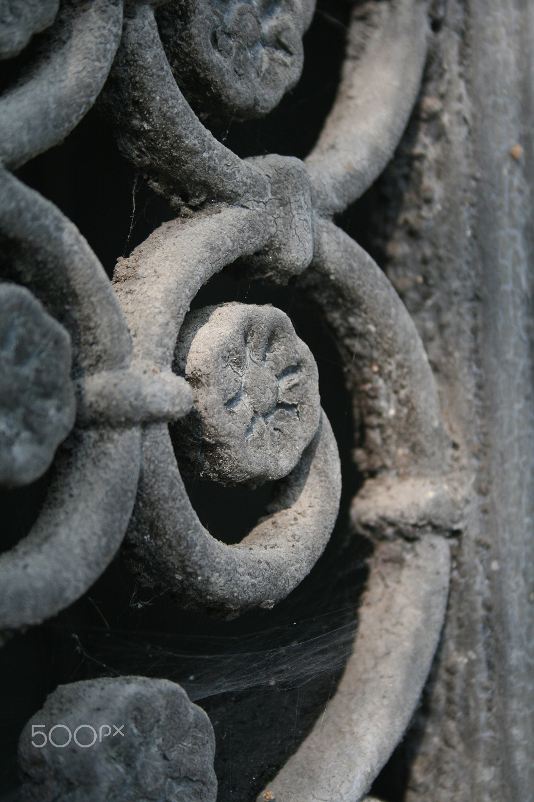 Canon EOS 400D (EOS Digital Rebel XTi / EOS Kiss Digital X) sample photo. Iron flower photography