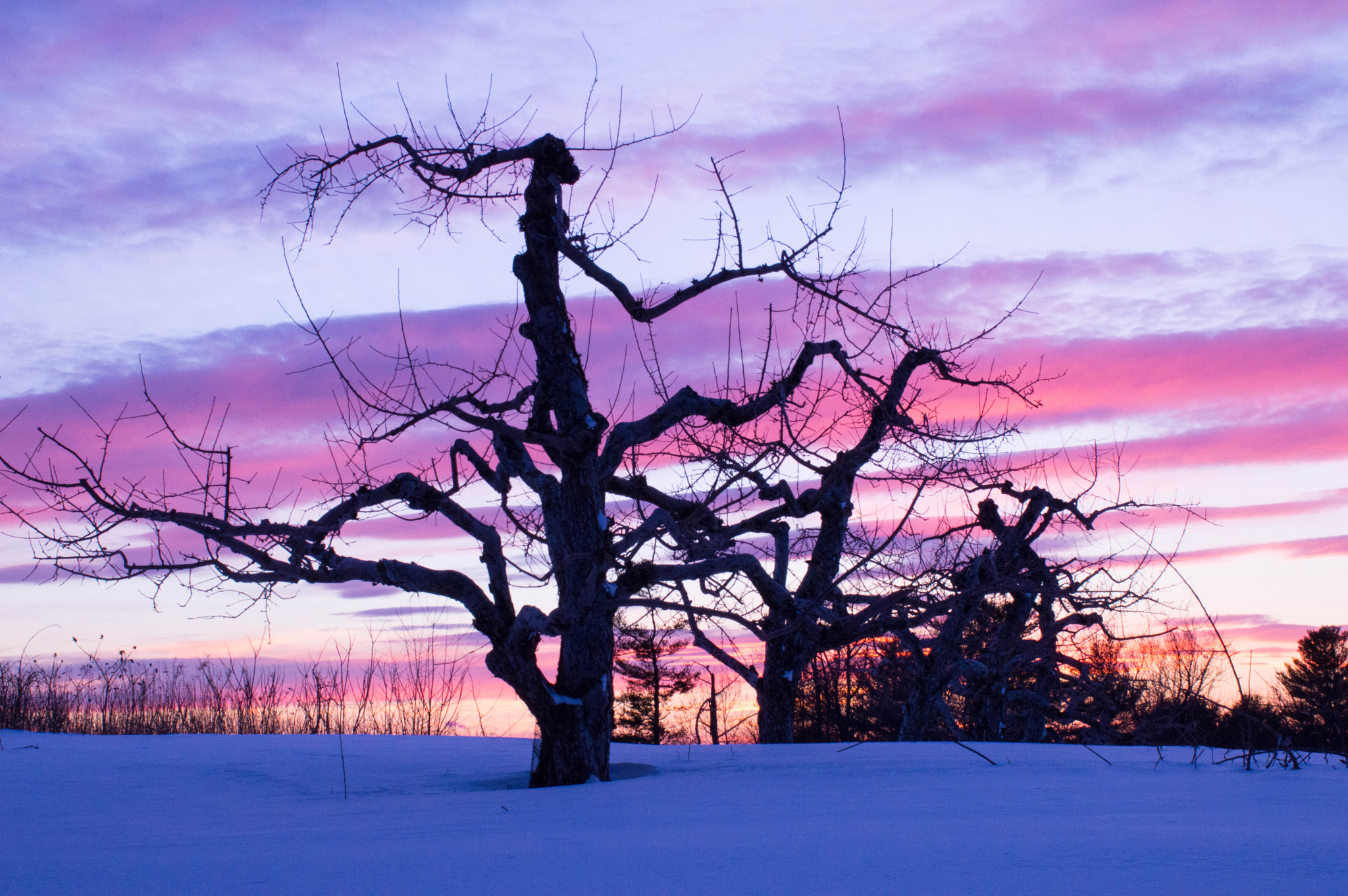 Nikon D3200 sample photo. Kimball farm sunset photography