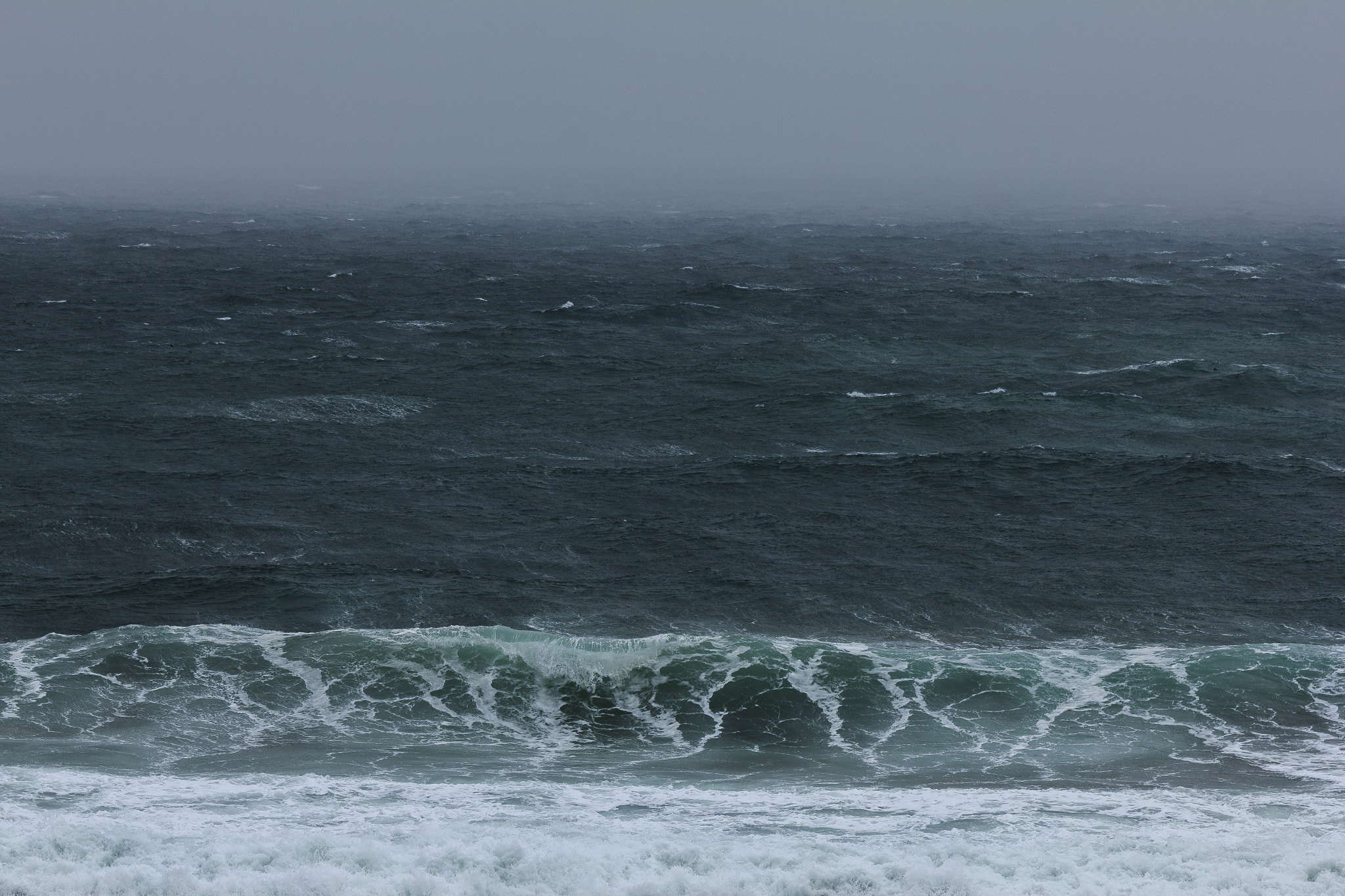 Canon EOS 550D (EOS Rebel T2i / EOS Kiss X4) sample photo. 日本海 photography