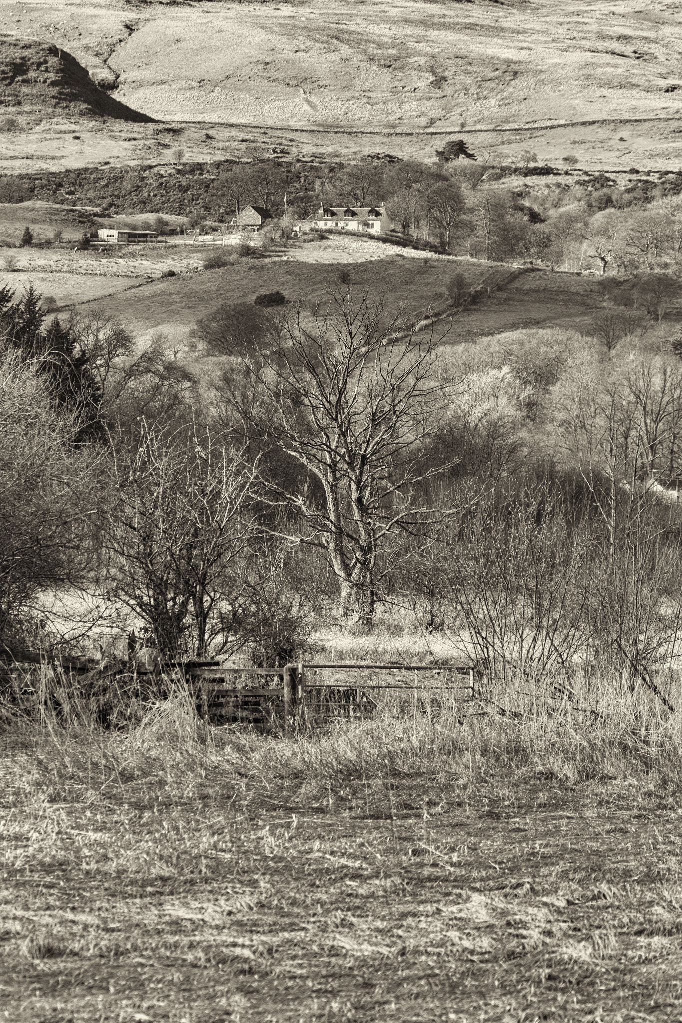 Canon EF 70-300mm F4-5.6L IS USM sample photo. A40a3099-edit.jpg photography