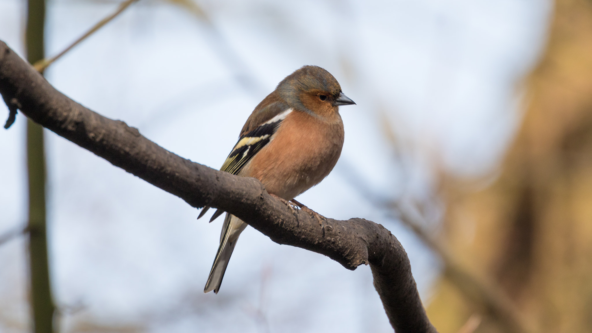 Canon EF 70-300mm F4-5.6L IS USM sample photo. A40a3178.jpg photography