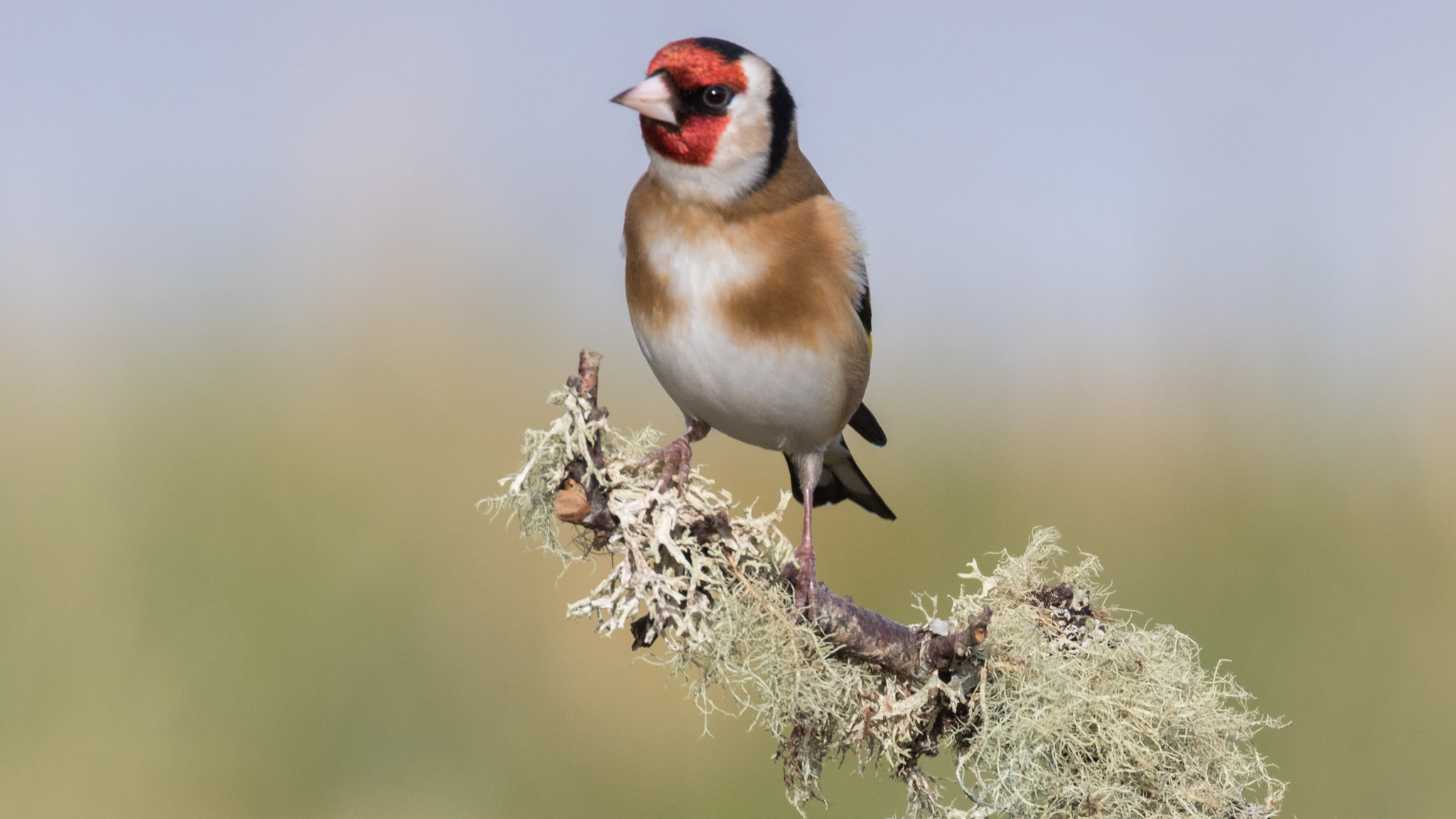 Canon EF 70-300mm F4-5.6L IS USM sample photo. A40a3378.jpg photography