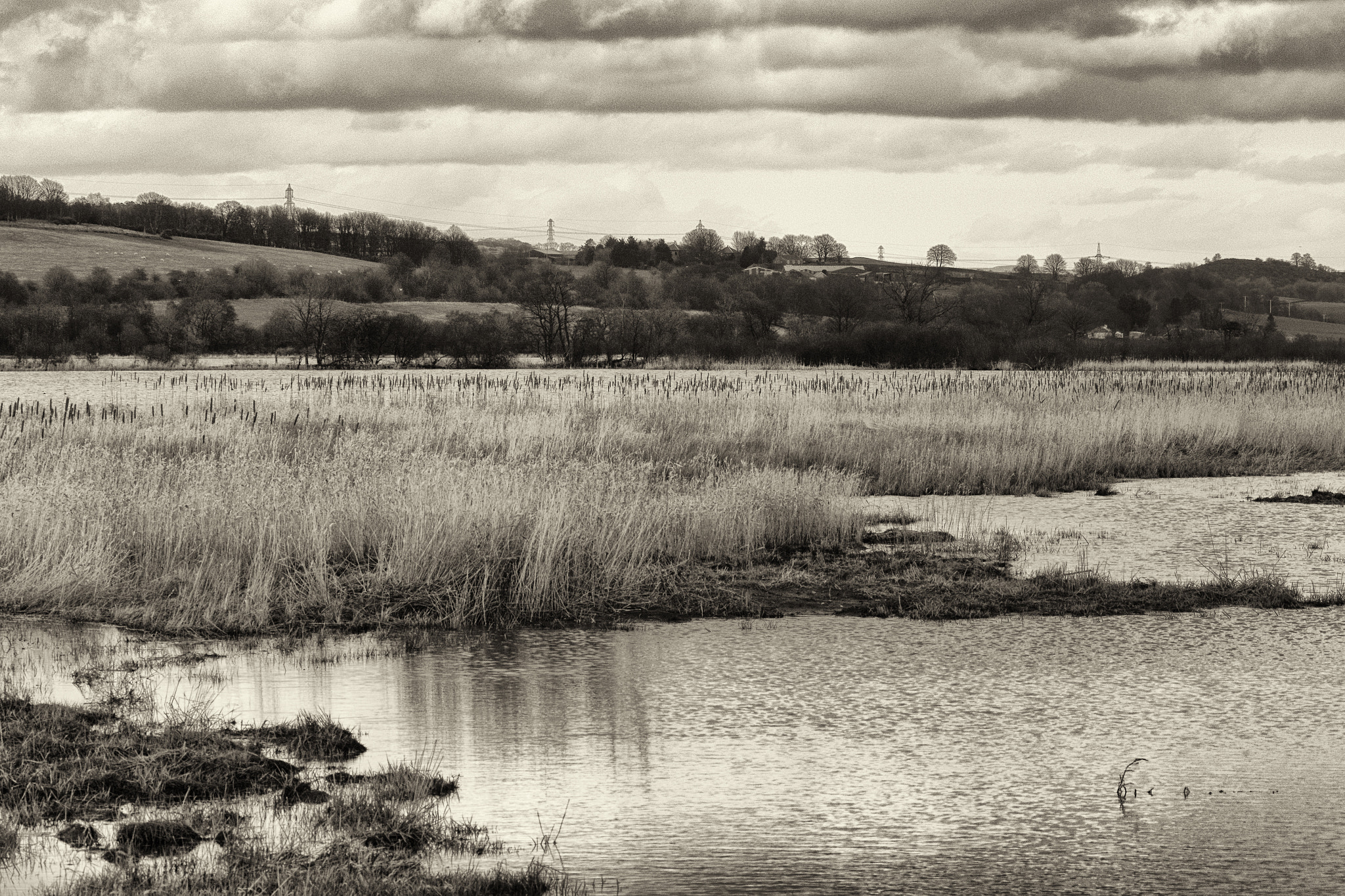 Canon EF 70-300mm F4-5.6L IS USM sample photo. A40a3406bw.jpg photography